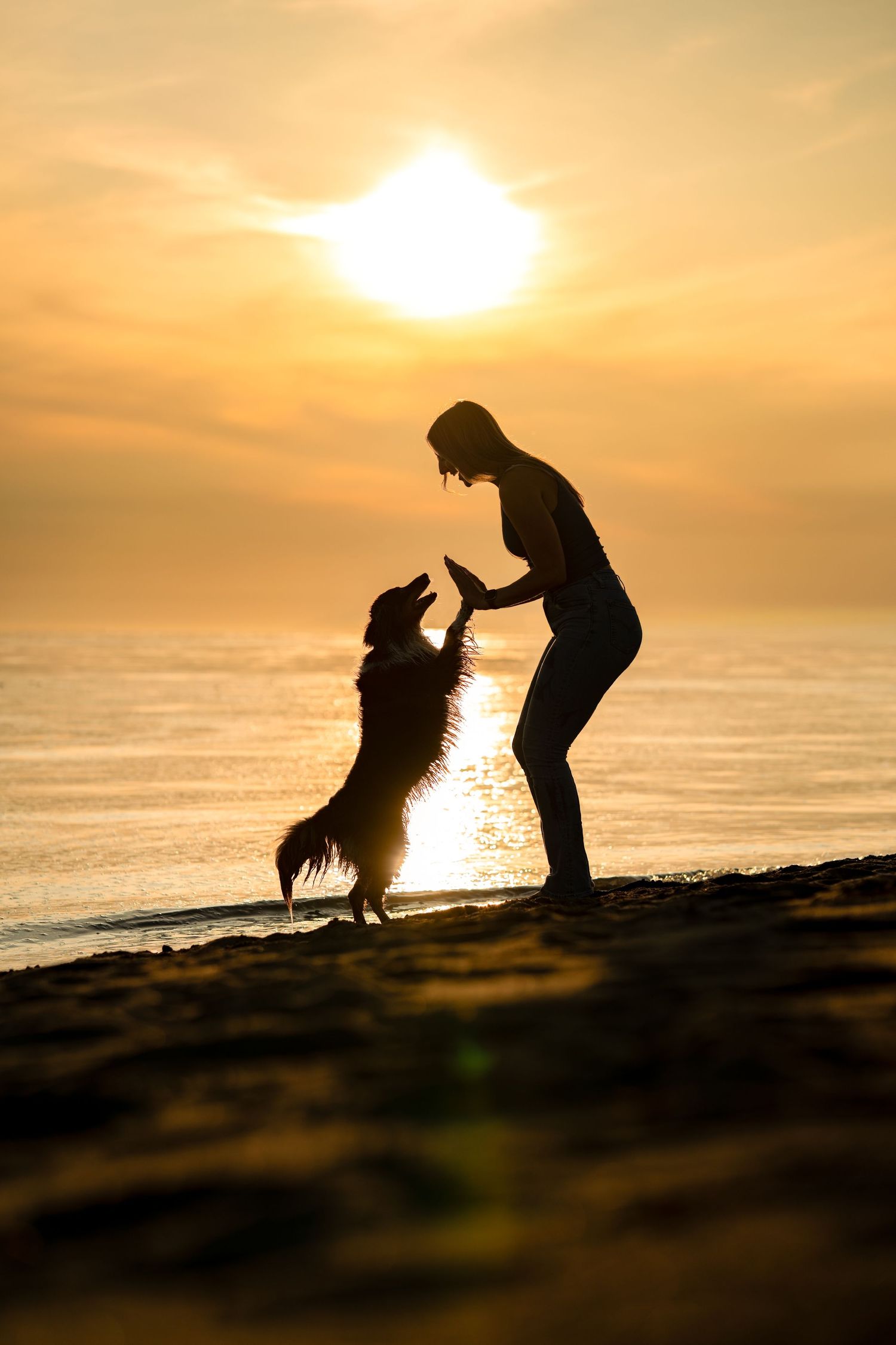 Silhouette of a person and dog playing on a beach at golden sunset by the sea.