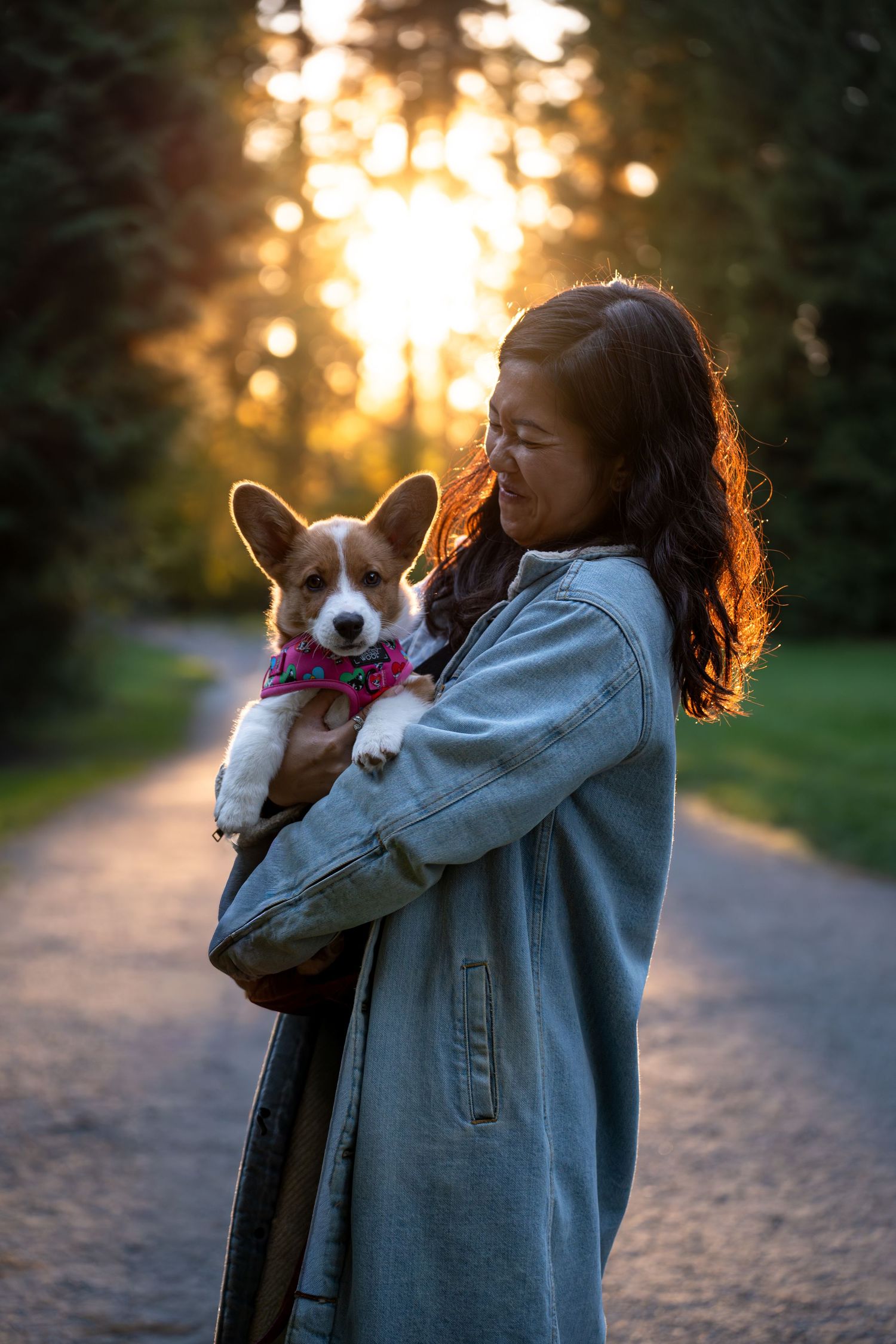 Woman in denim jacket holds a Corgi dog with pink bow tie on a sunlit forest path at golden hour.