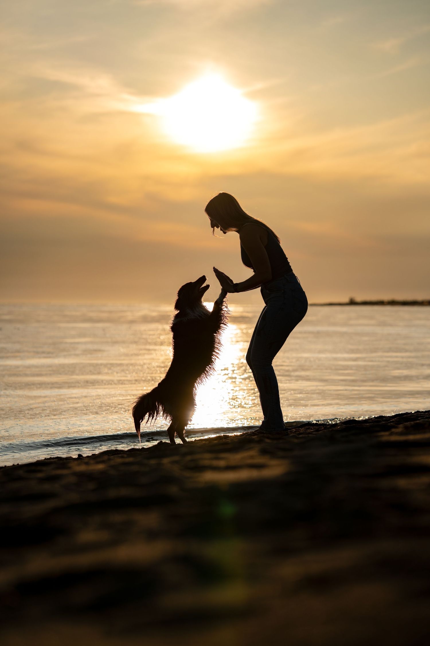 Silhouette of a person and dog dancing together on a beach at golden sunset by the sea.