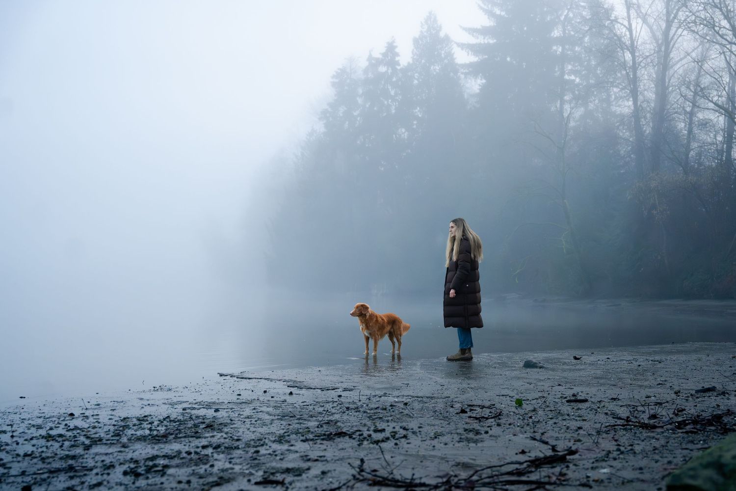 Woman and golden retriever dog standing on foggy misty shoreline near dark forest trees.