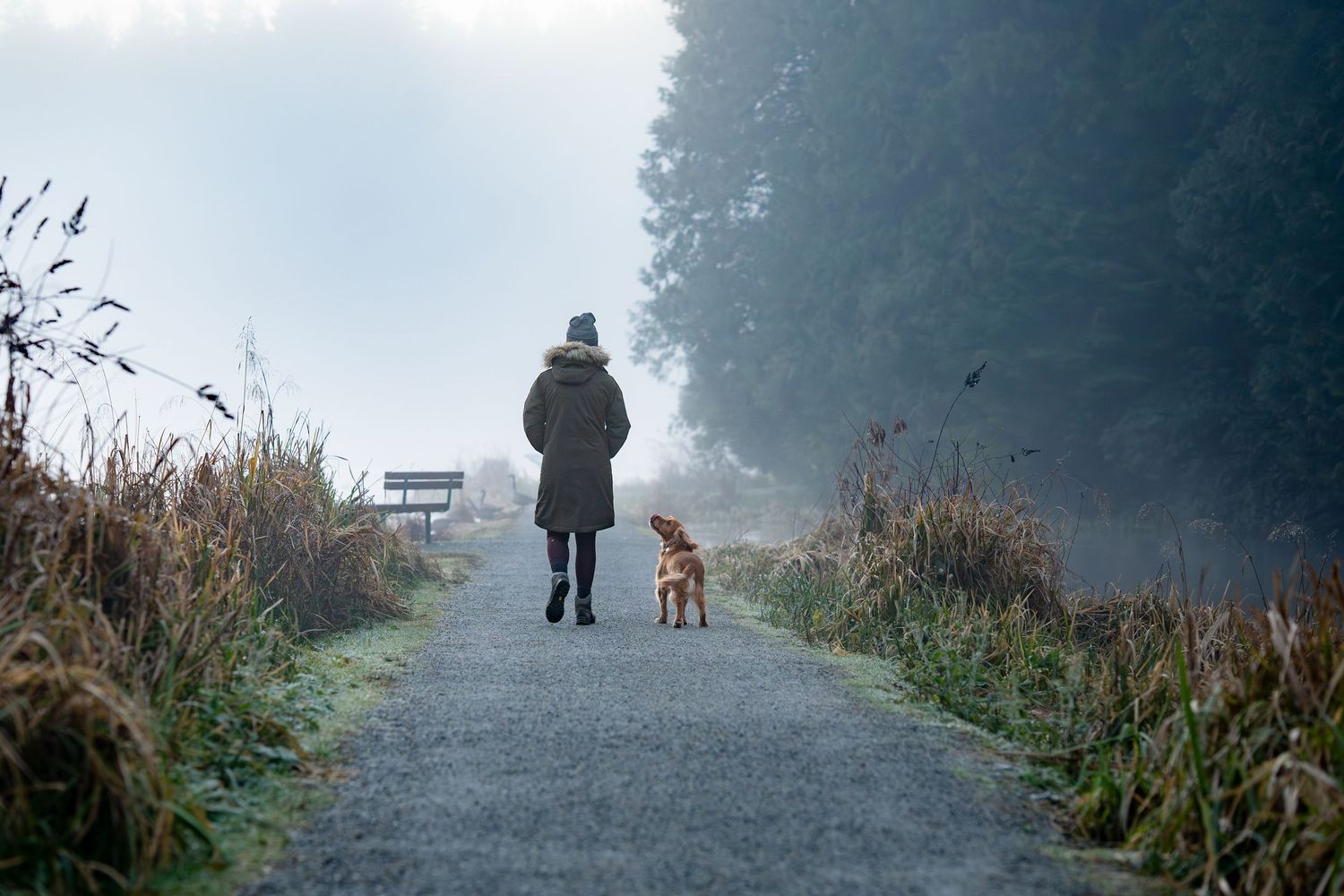 A person walks a small golden dog along a foggy misty rural gravel pathway.