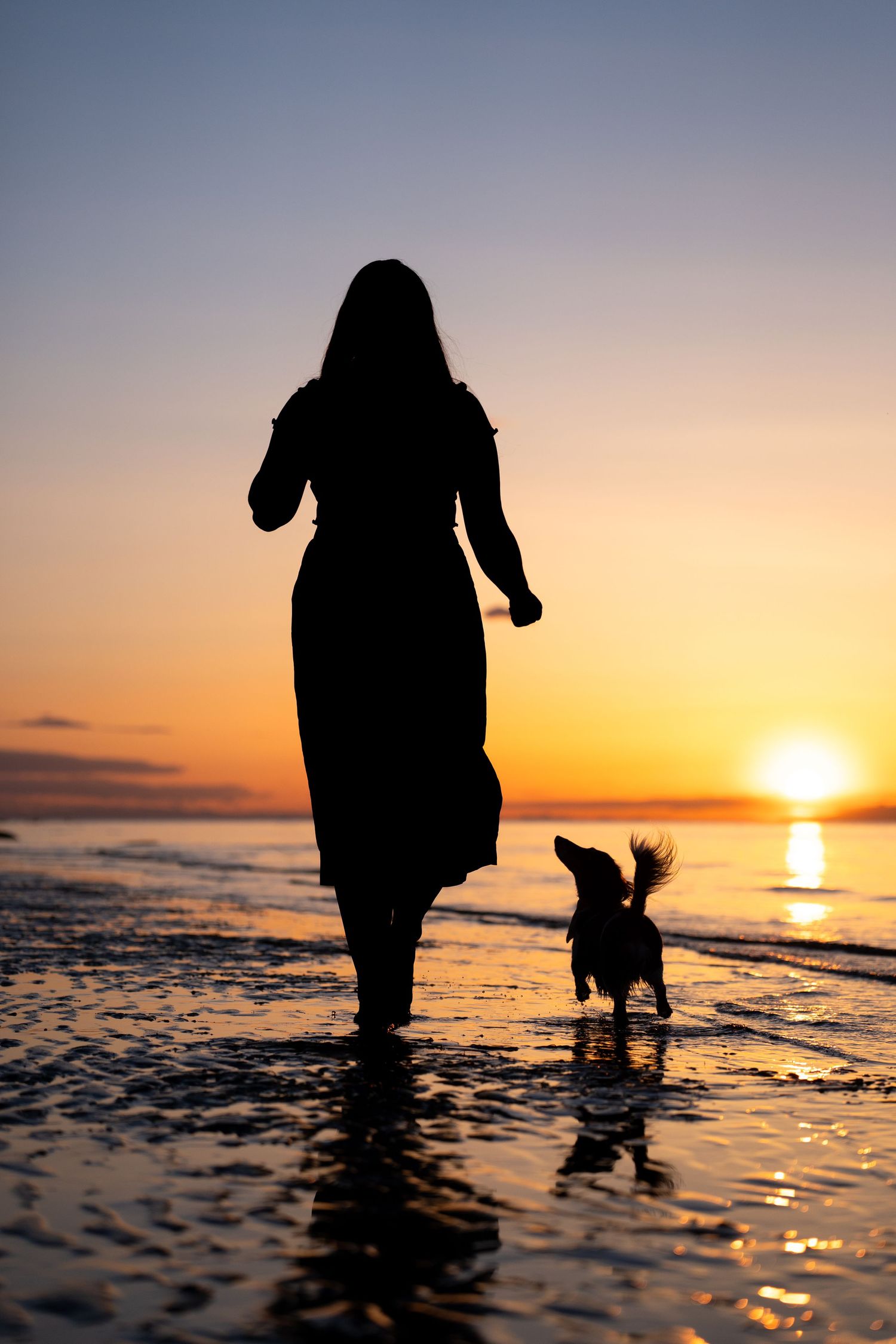 Sunset silhouette girl and dog walking on the beach