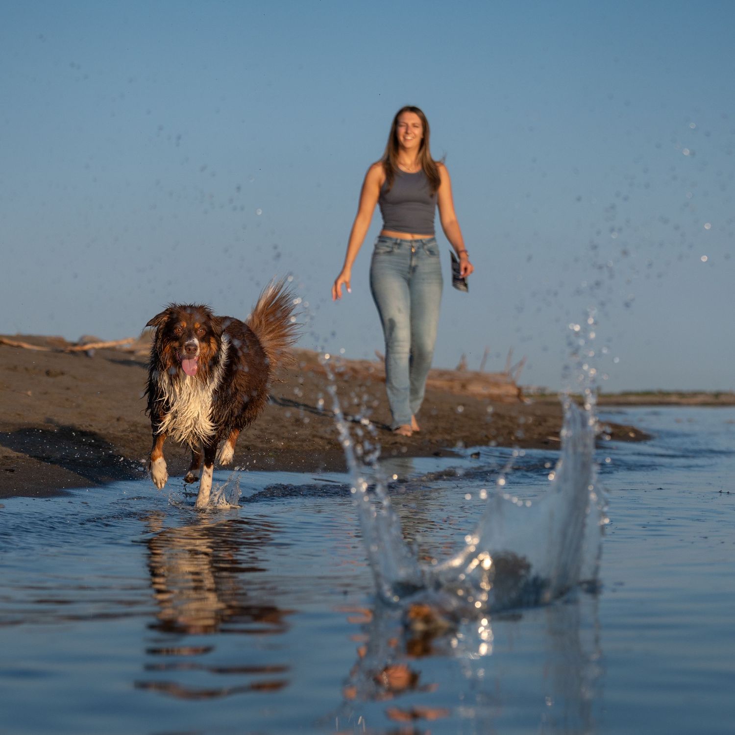 A wet dog runs along a shallow beach shoreline as a young woman in jeans walks behind near rocky cliffs.