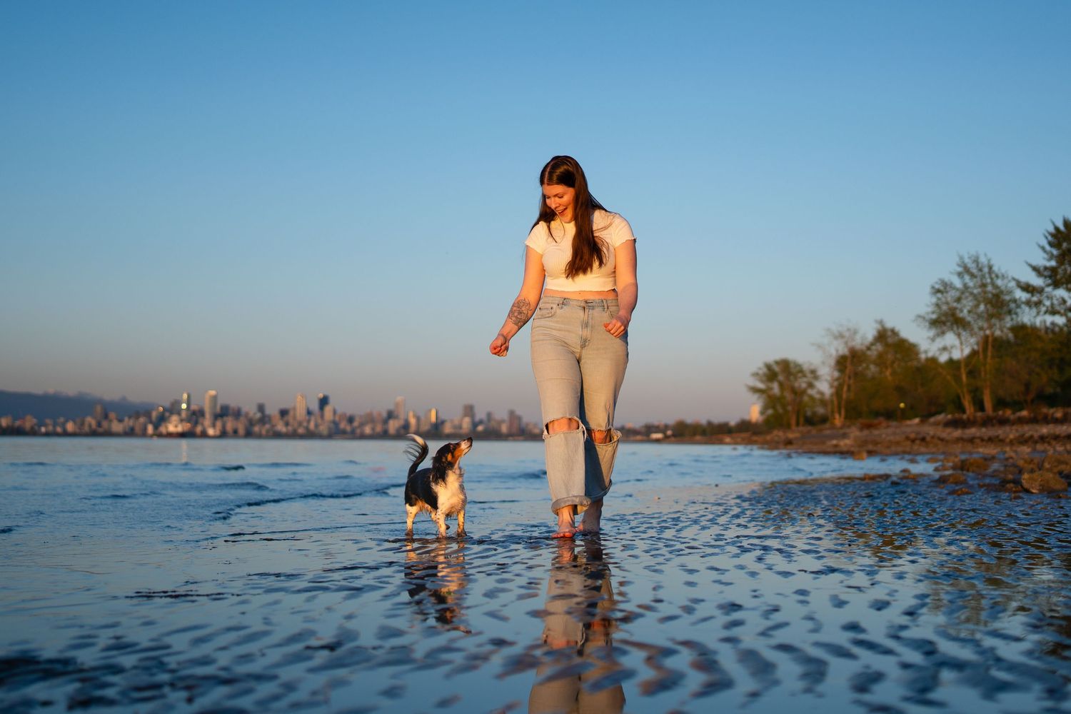 Lowtide sunset dog and girl walking on the beach