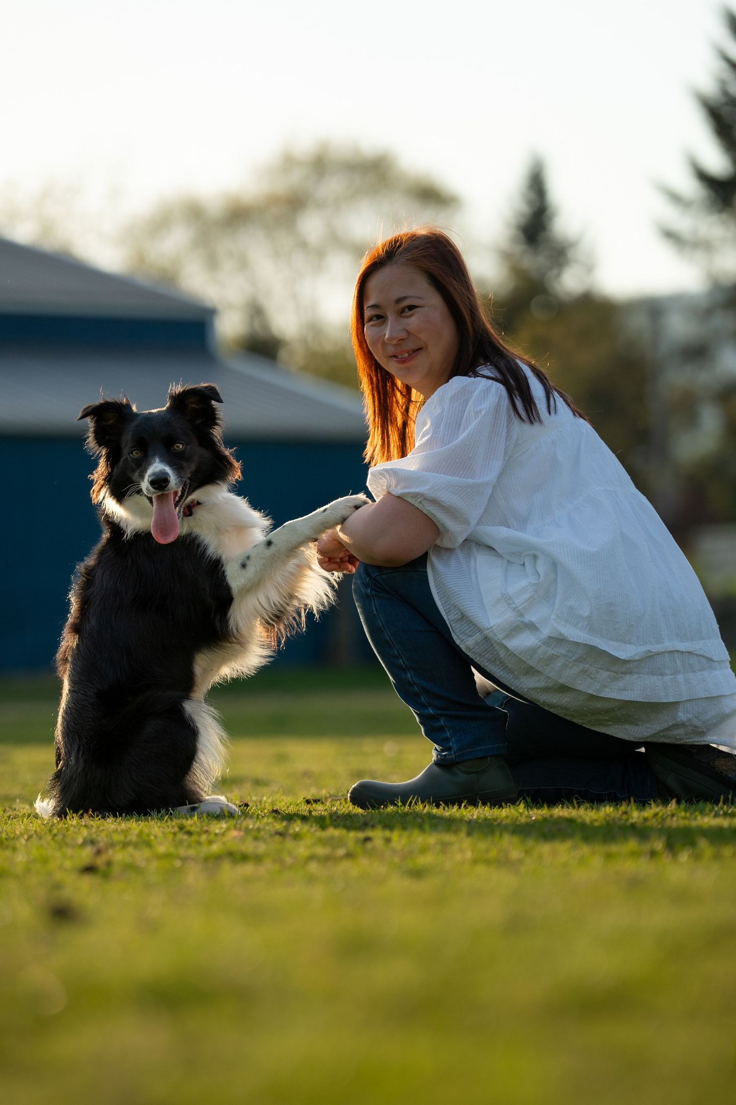 Woman in white shirt kneeling on grass with a black and white Border Collie dog outdoors.