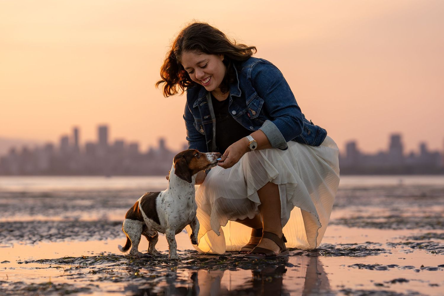 Woman in denim jacket petting two Jack Russell dogs on a wet beach at sunset with city skyline backdrop.
