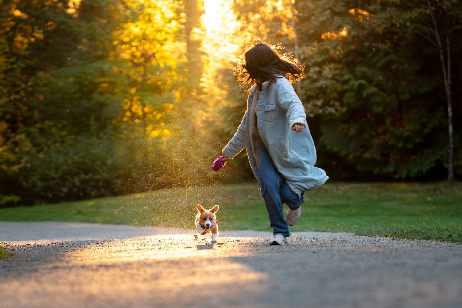 Woman running with a Corgi dog on a leash in a sunlit park path surrounded by golden autumn trees.