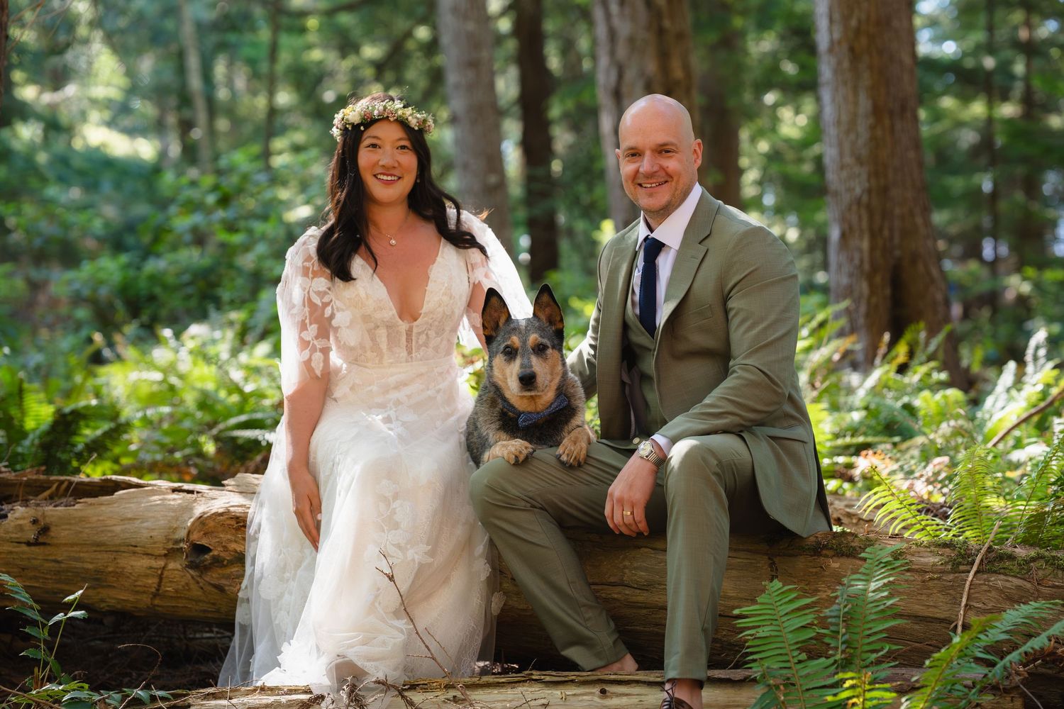 Bride and groom pose with their dog on a log in a lush forest setting during their outdoor woodland wedding.