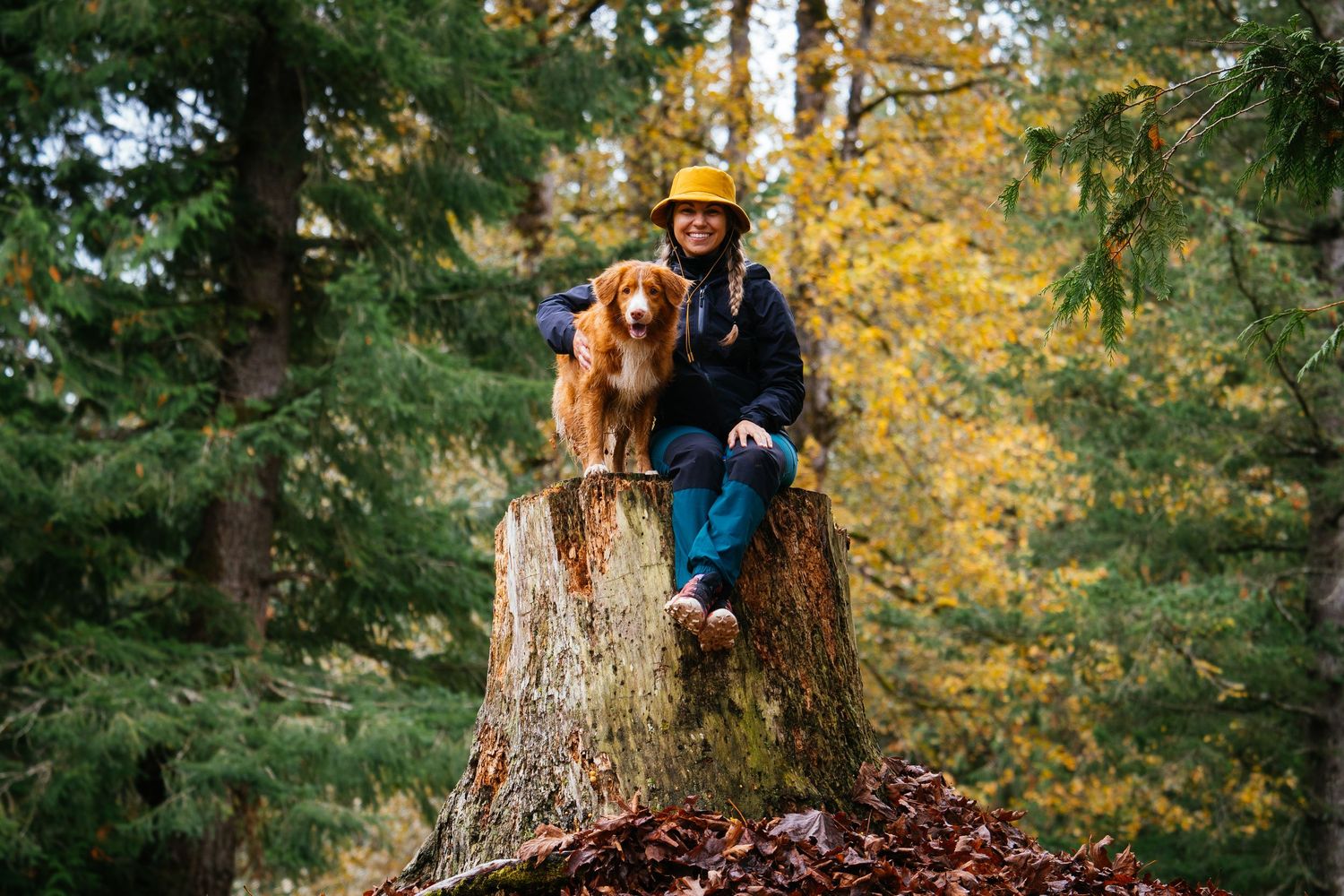 Woman in yellow hat sits with golden retriever on large tree stump in autumn forest.