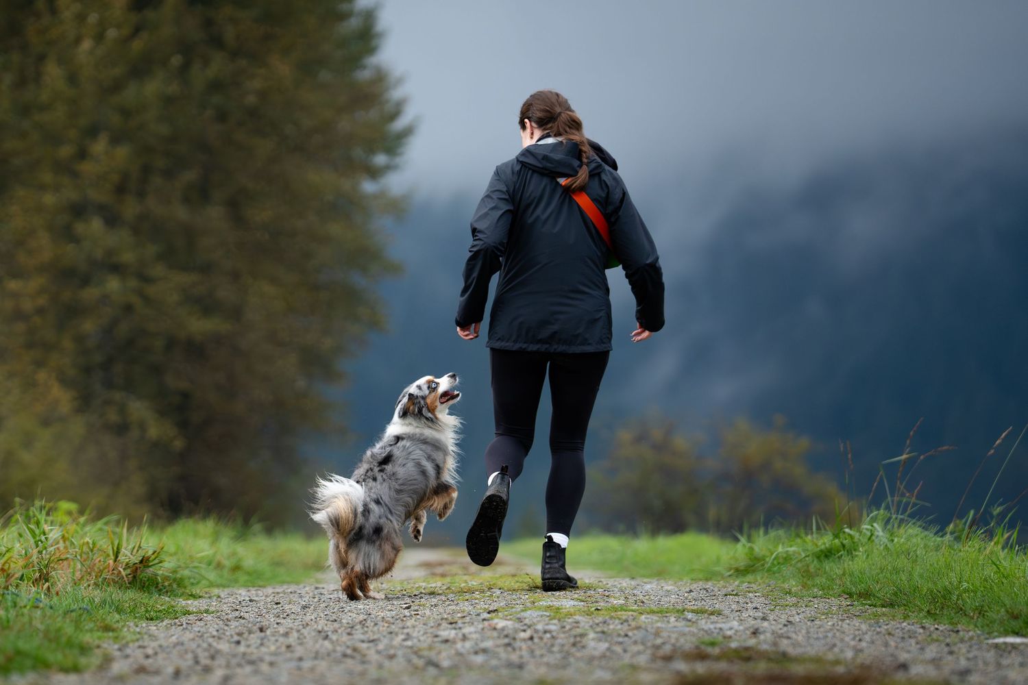 Woman jogging with an Australian Shepherd dog on a scenic gravel path surrounded by lush green trees.