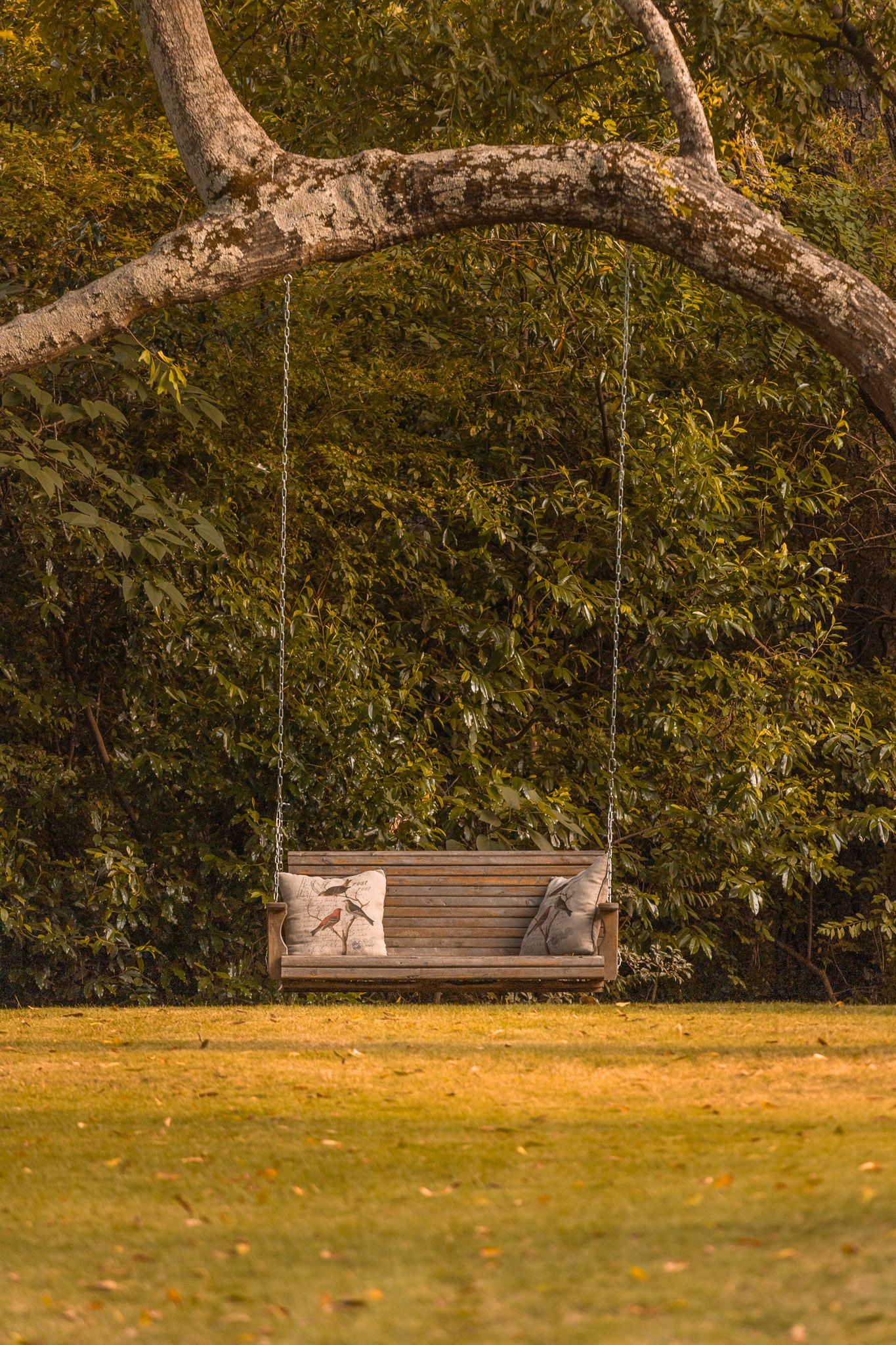 swing