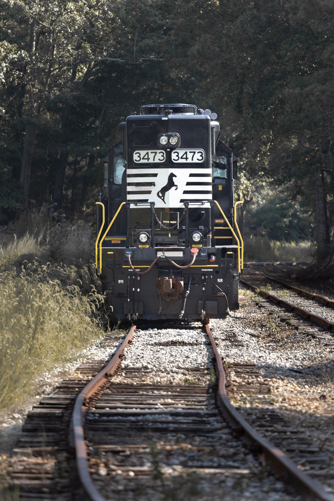 train