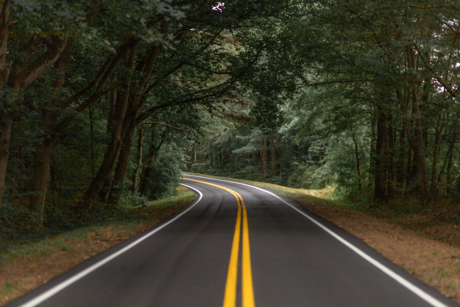 Windy road