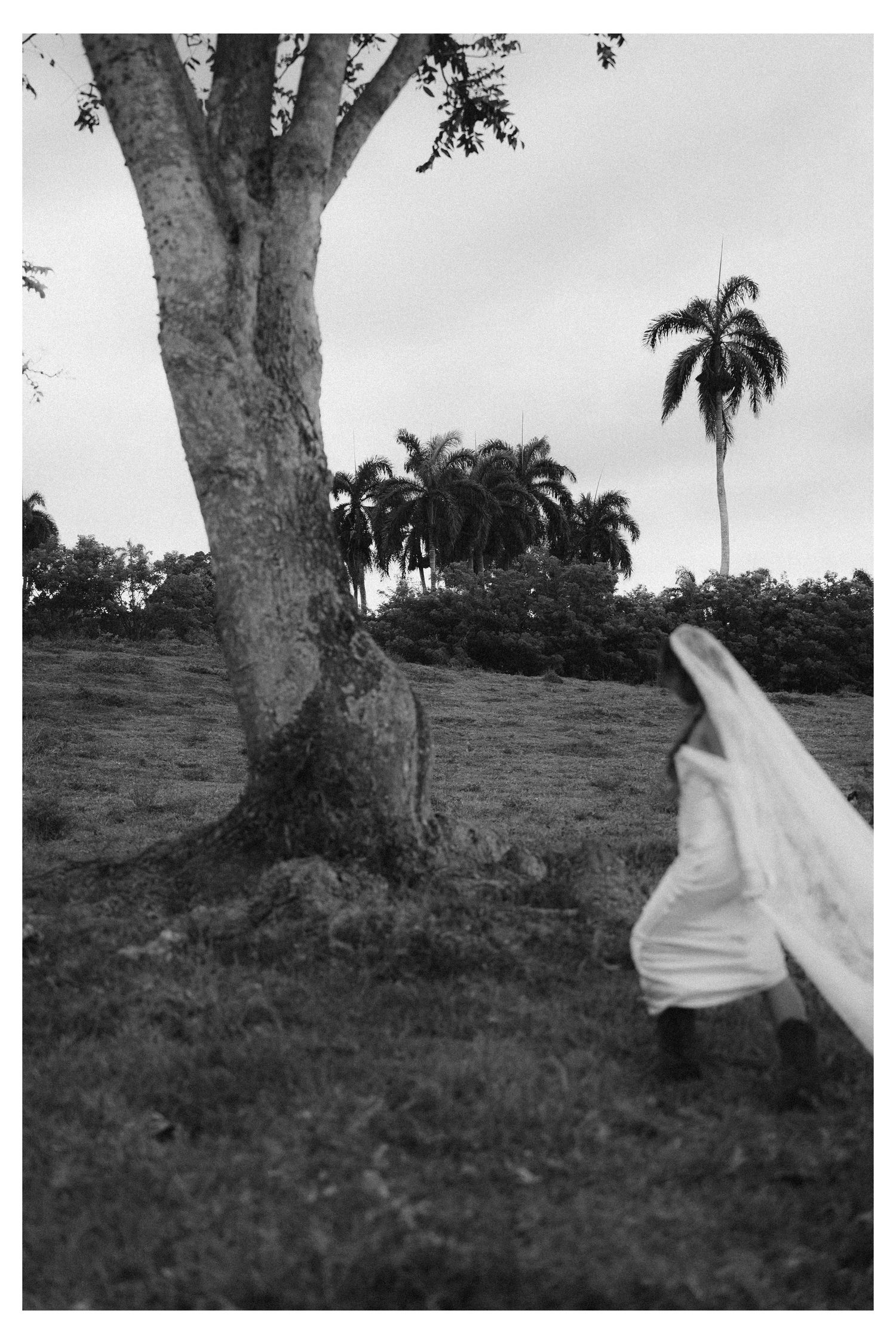 Intimate destination wedding in Las Terrenas Samana surrounded by nature