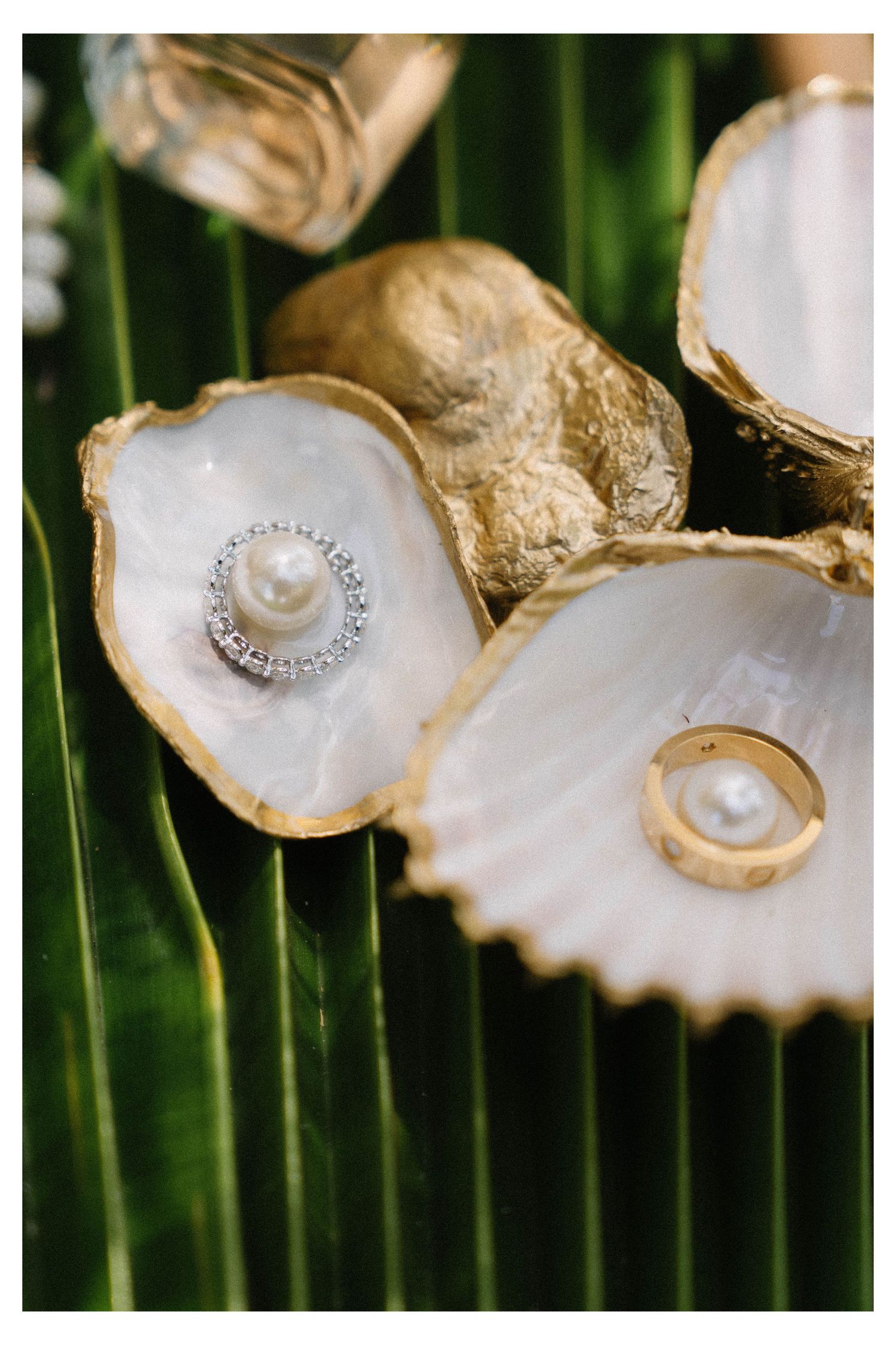 Destination wedding with ocean views in Las Terrenas Samana Dominican Republic