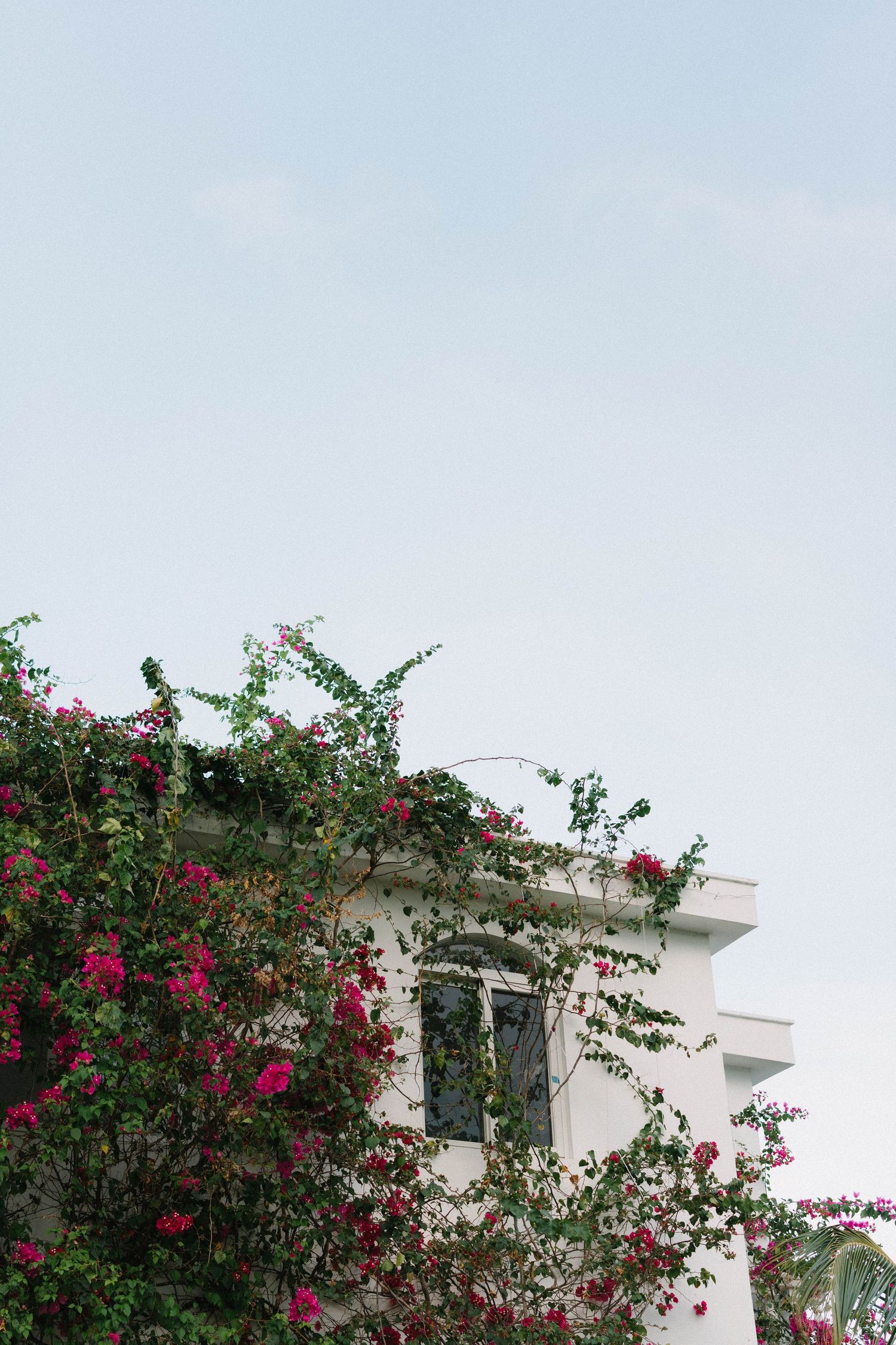 Intimate destination wedding in Las Terrenas Samana surrounded by nature
