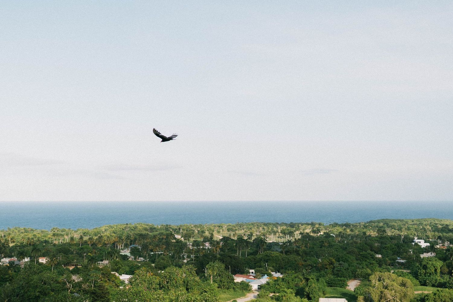 Destination wedding in Las Terrenas Samana Dominican Republic photographed by Joel Severino