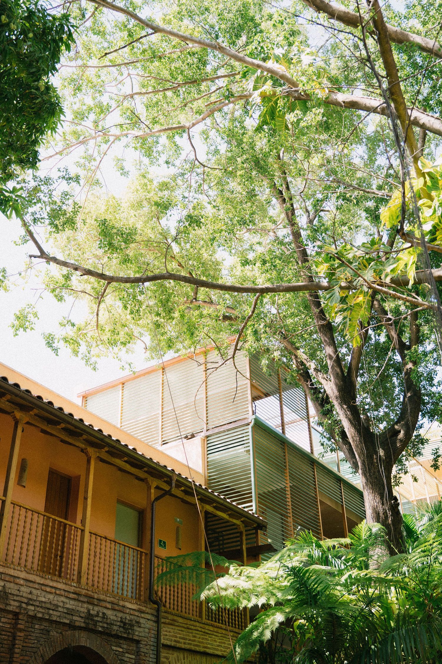 Destination wedding photography in Zona Colonial Santo Domingo Dominican Republic