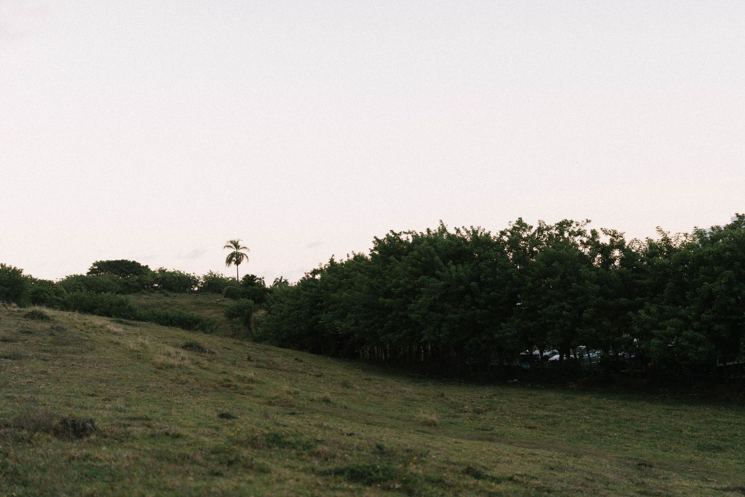 Intimate destination wedding in Las Terrenas Samana surrounded by nature