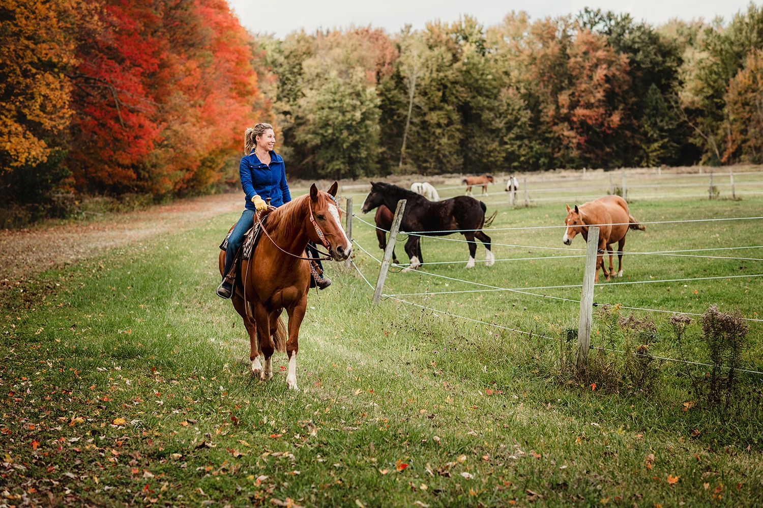 Horse rider in blue jacket on trail during colorful autumn day.
