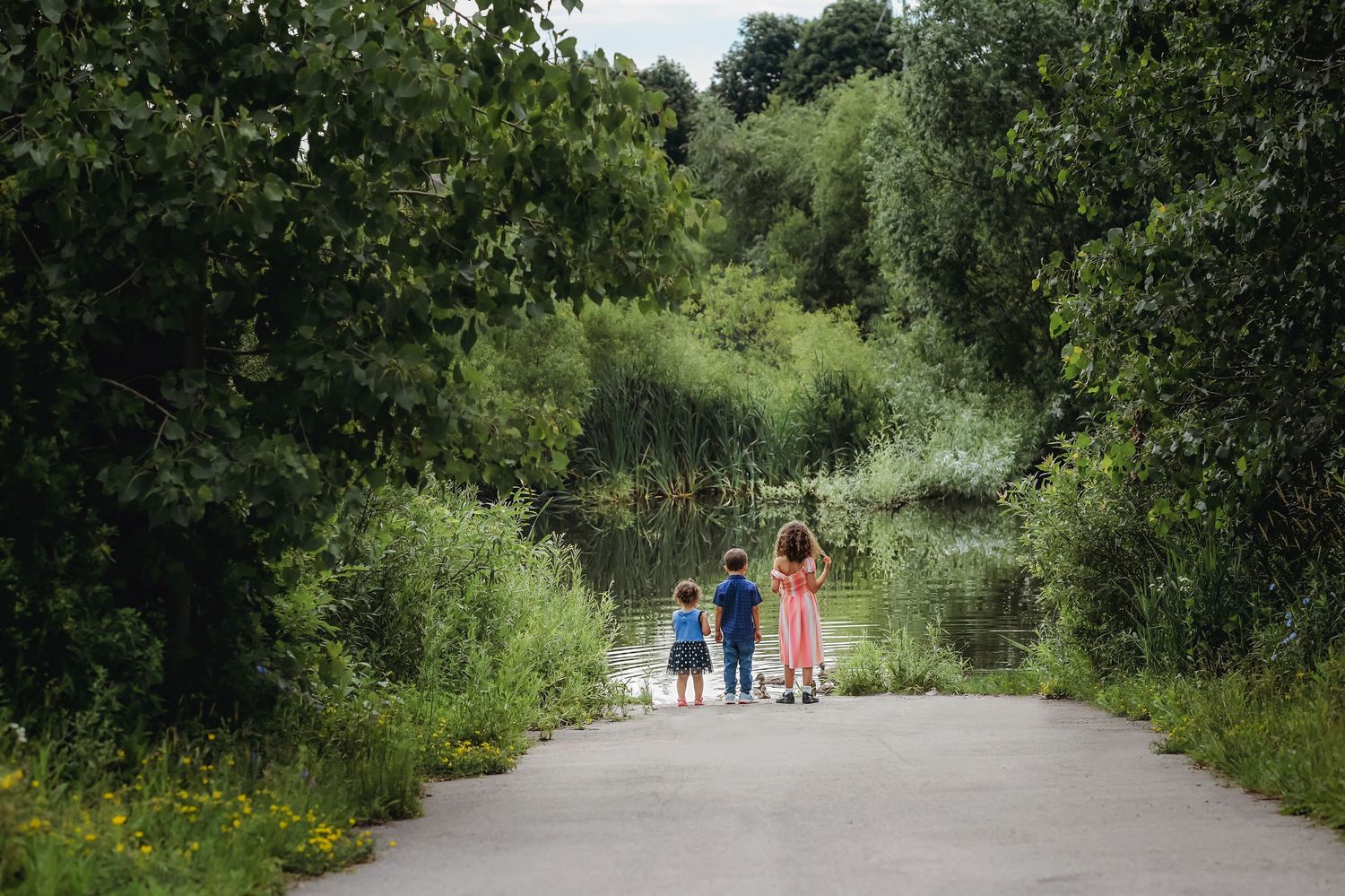 Silhouette of family walking together on nature trail surrounded by greenery.