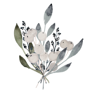 Delicate watercolor illustration of eucalyptus leaves and botanical elements in soft gray tones.