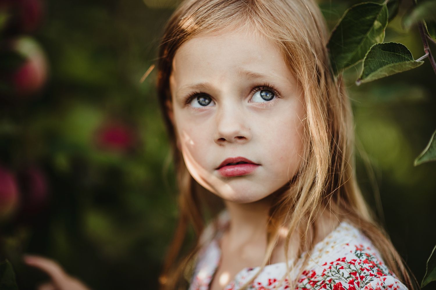 Young child with blonde hair gazes upward while standing by apple trees in a floral dress on a summer day.