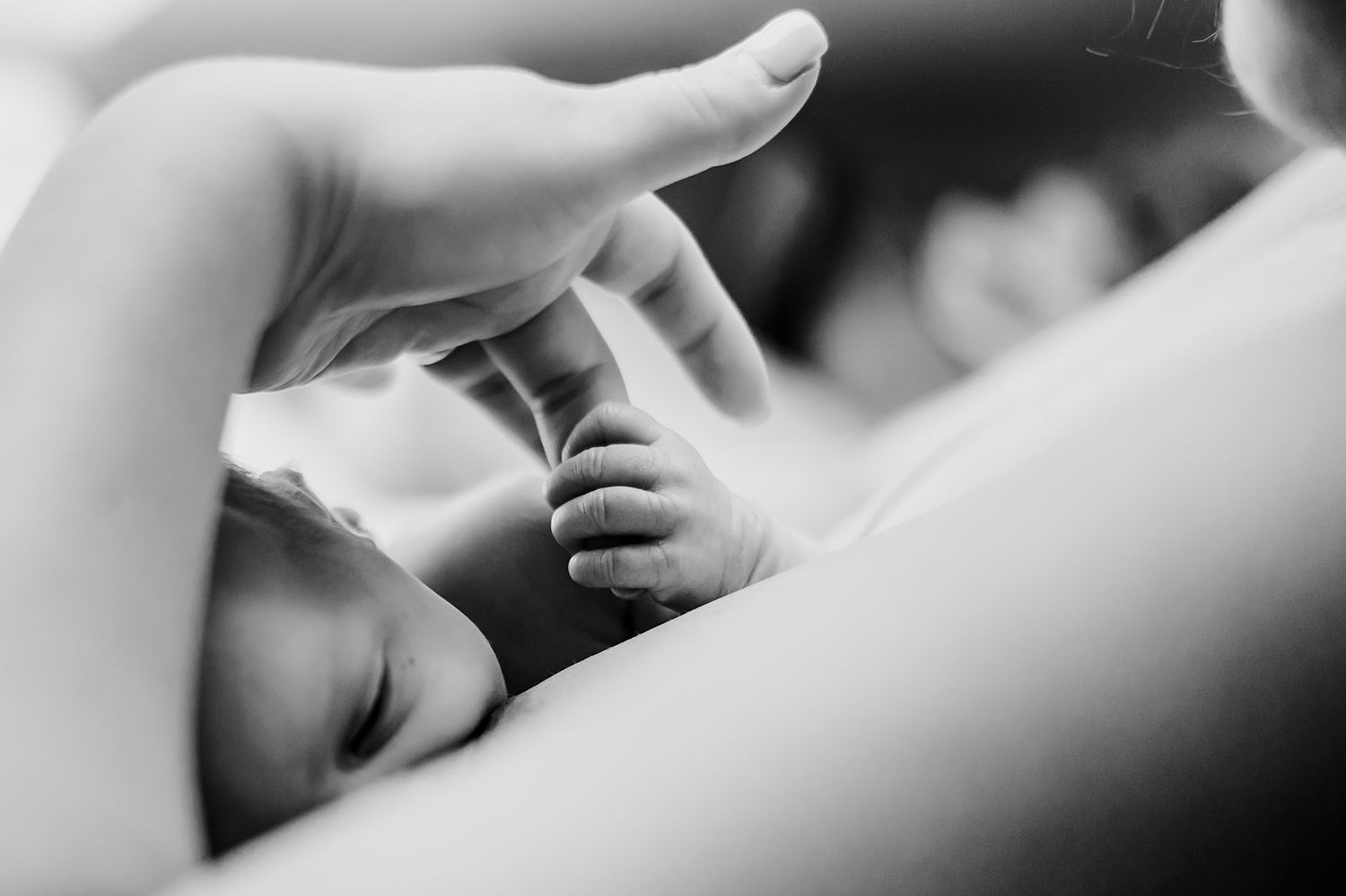 Black and white close-up macro photography of delicate breastfeeding details.