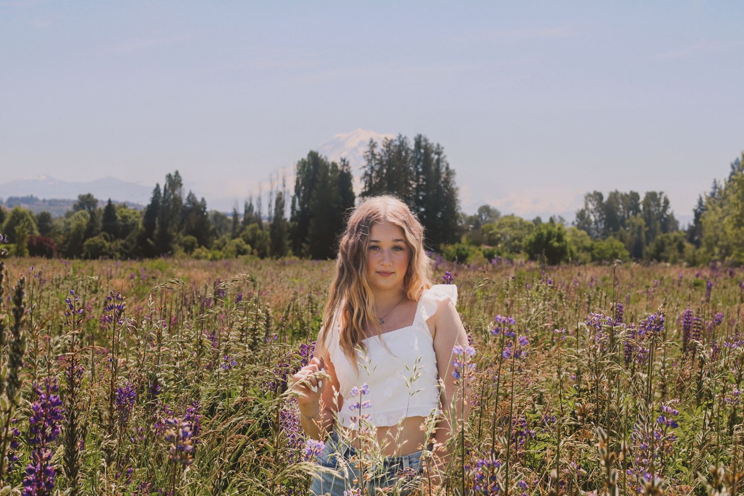 Person sitting in a field of purple lupine flowers on a sunny day.