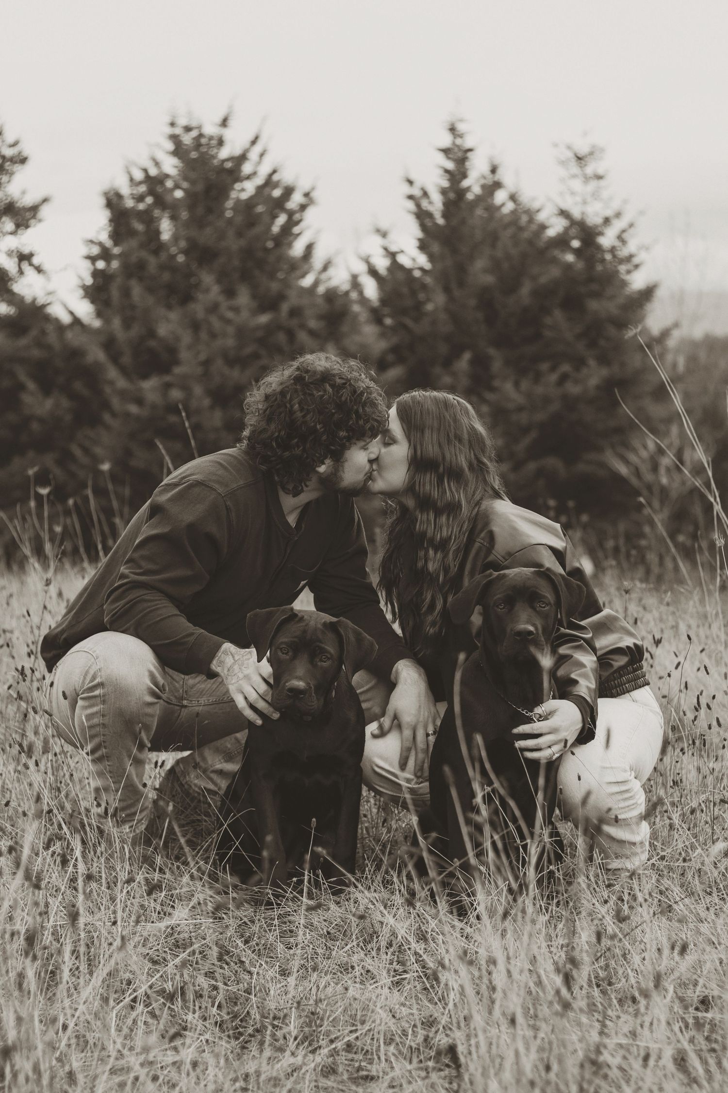 A black and white photo sequence showing two people embracing in tall grass with evergreen trees in the background.