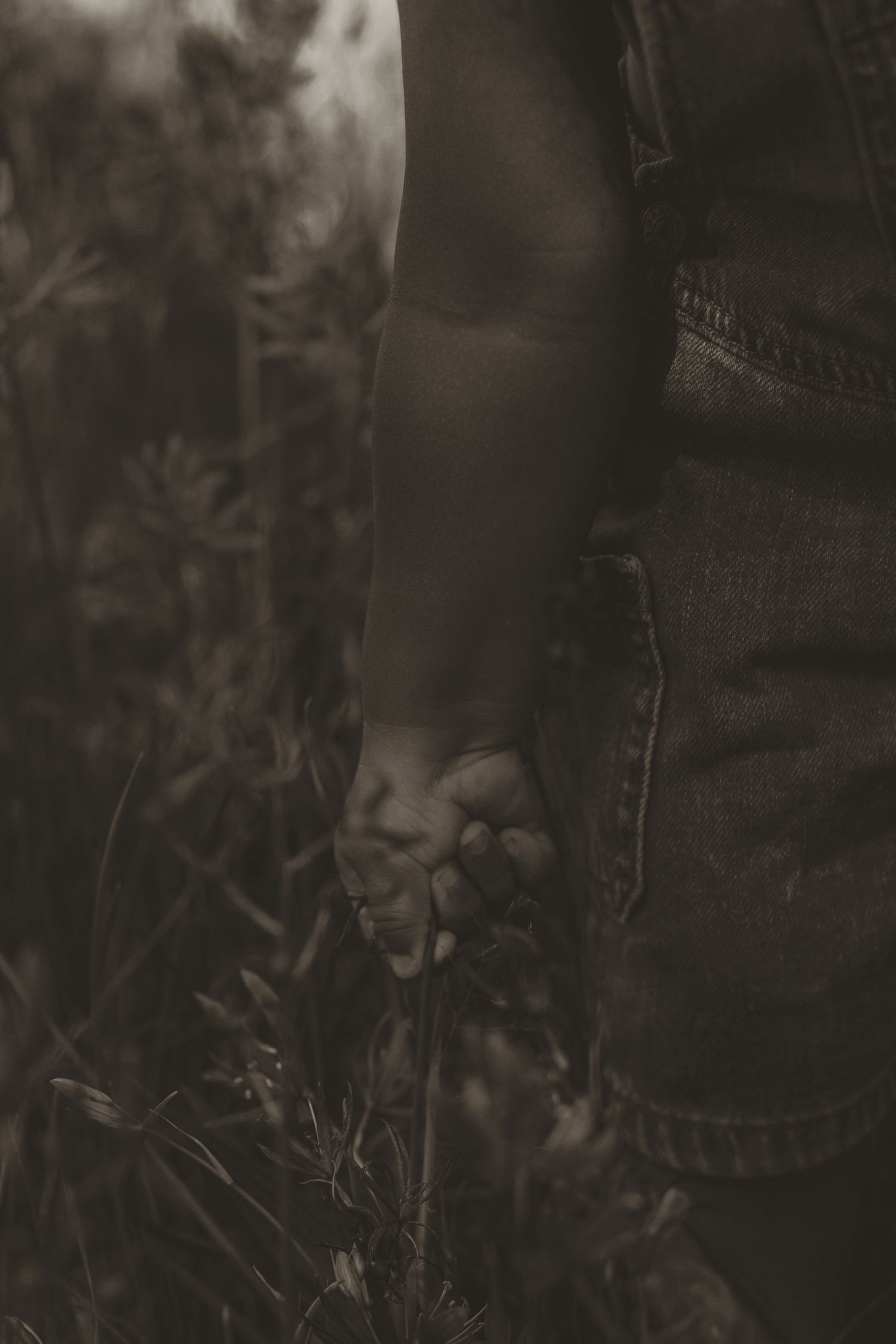 Black and white photo of a child's hand holding wildflowers beside an adult in denim jeans outdoors.