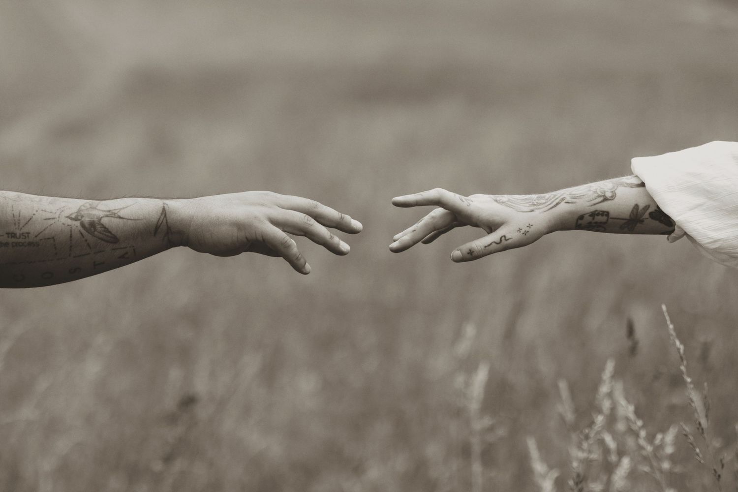 Two hands reaching toward each other in a field, evoking connection and longing in a sepia-toned outdoor scene.