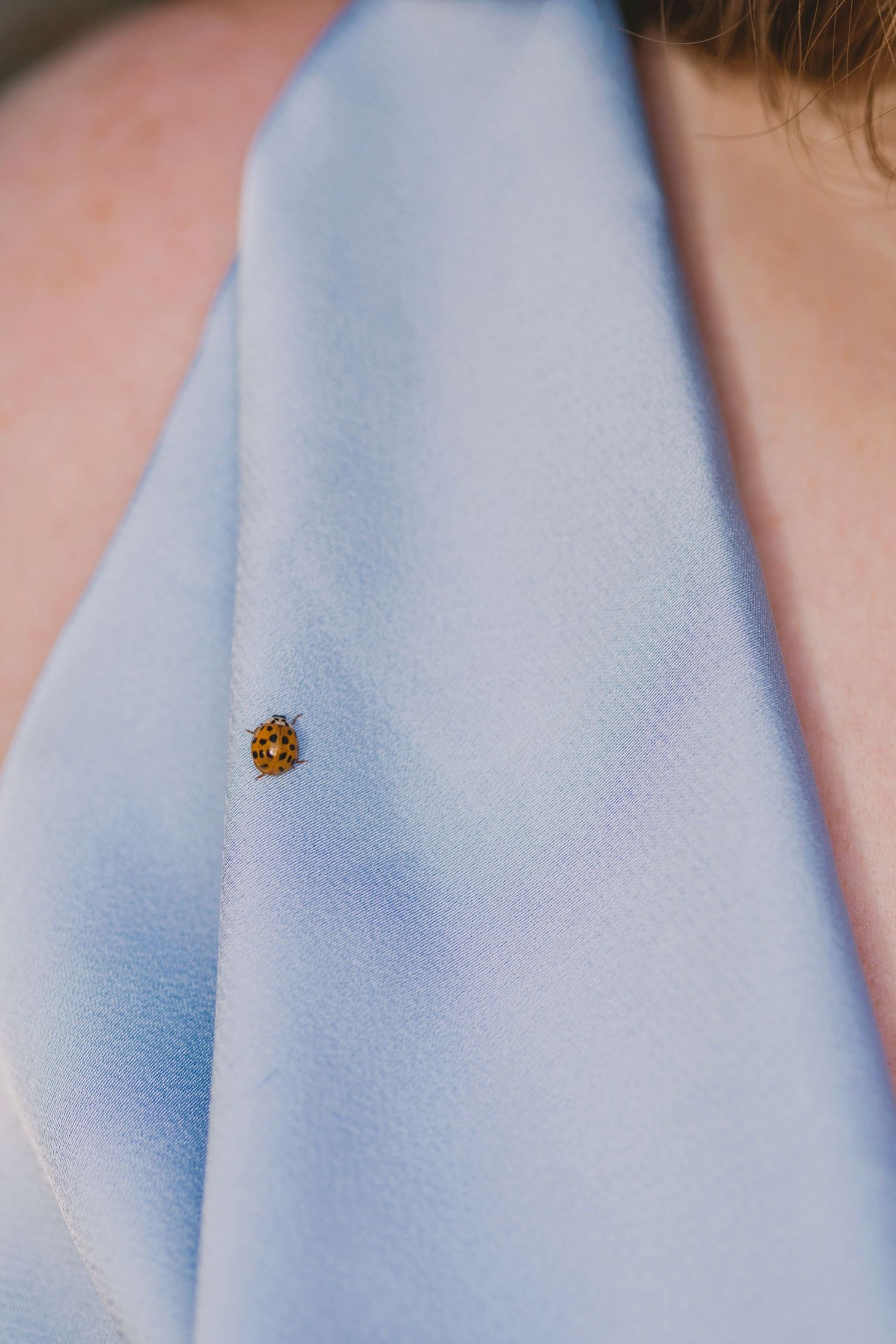 A small ladybug resting on a light blue fabric garment near a person's shoulder.