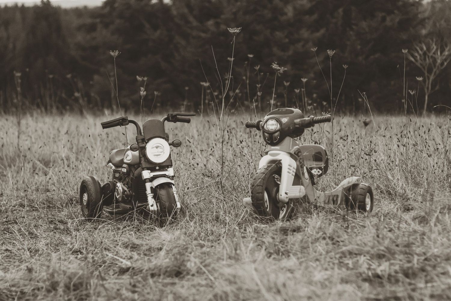 A sequence of black and white photographs showing people in a field with vintage motorcycles and equipment.