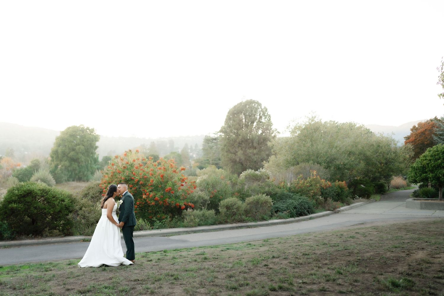 Bay Area Photographer and Videographer