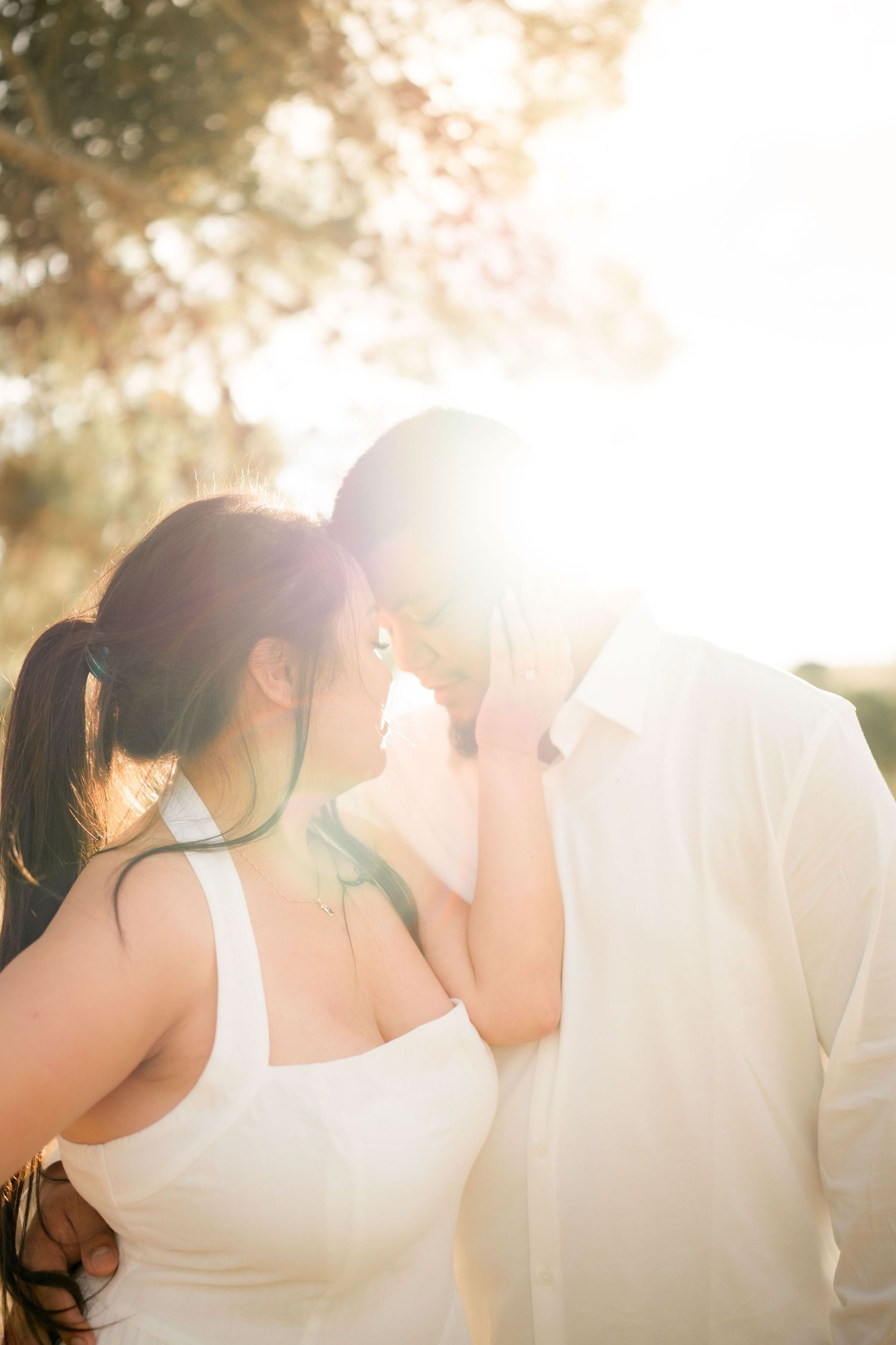 Bay Area Photographer and Videographer