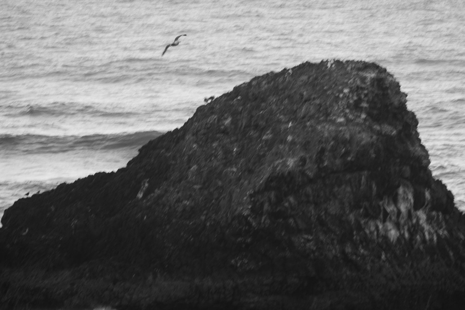 Dramatic black and white seascape showing rocky formations against a misty horizon.