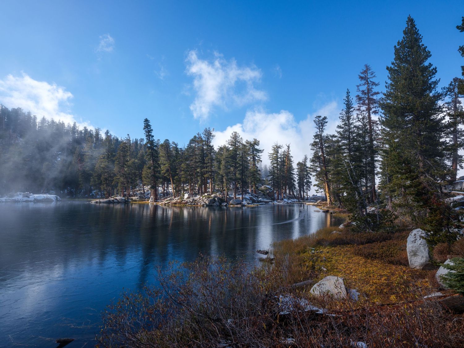 Misty lake surrounded by pine trees on a bright winter morning.