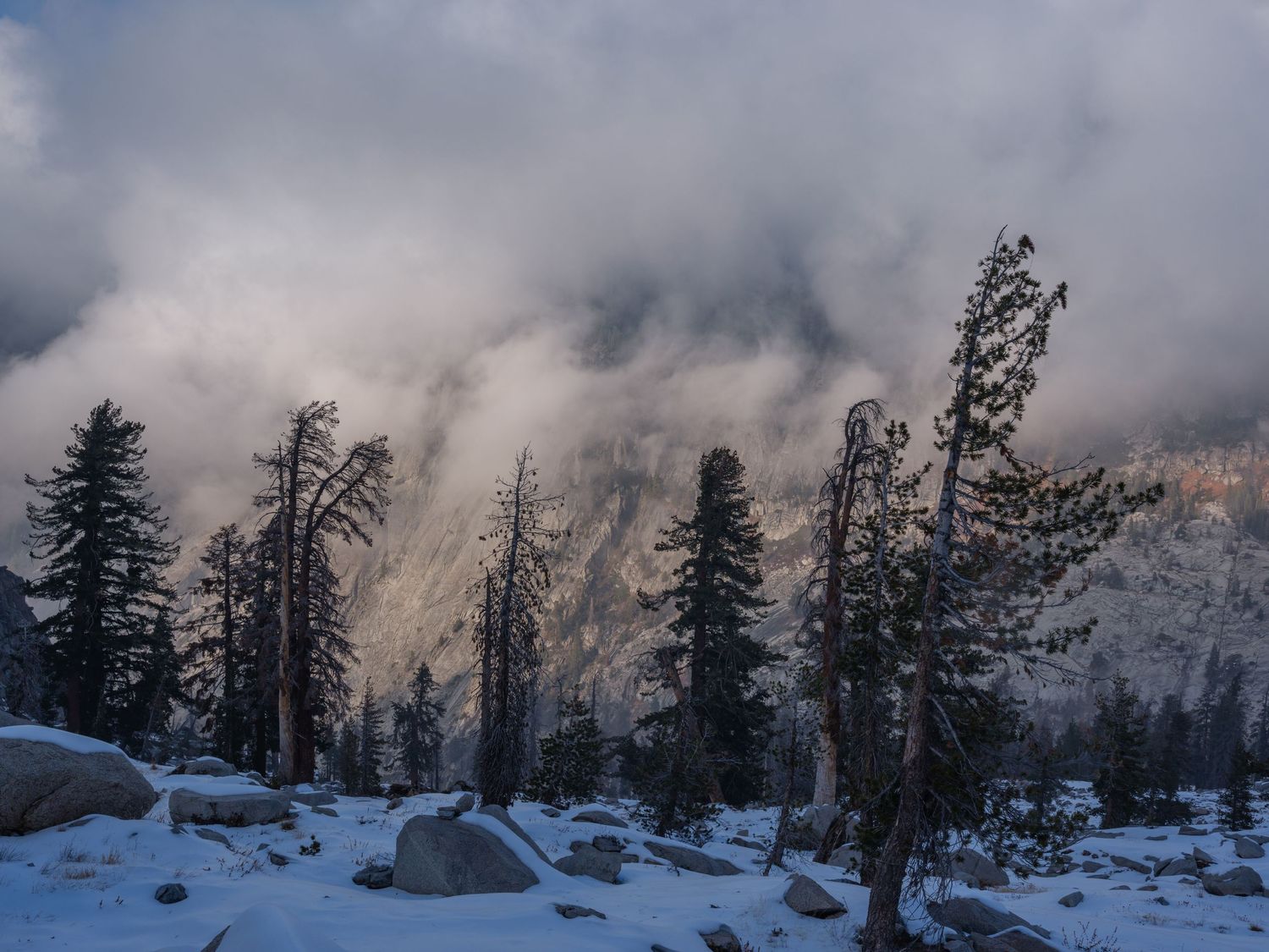 Snow-covered mountain peaks emerge through dramatic clouds with evergreen trees in the foreground.