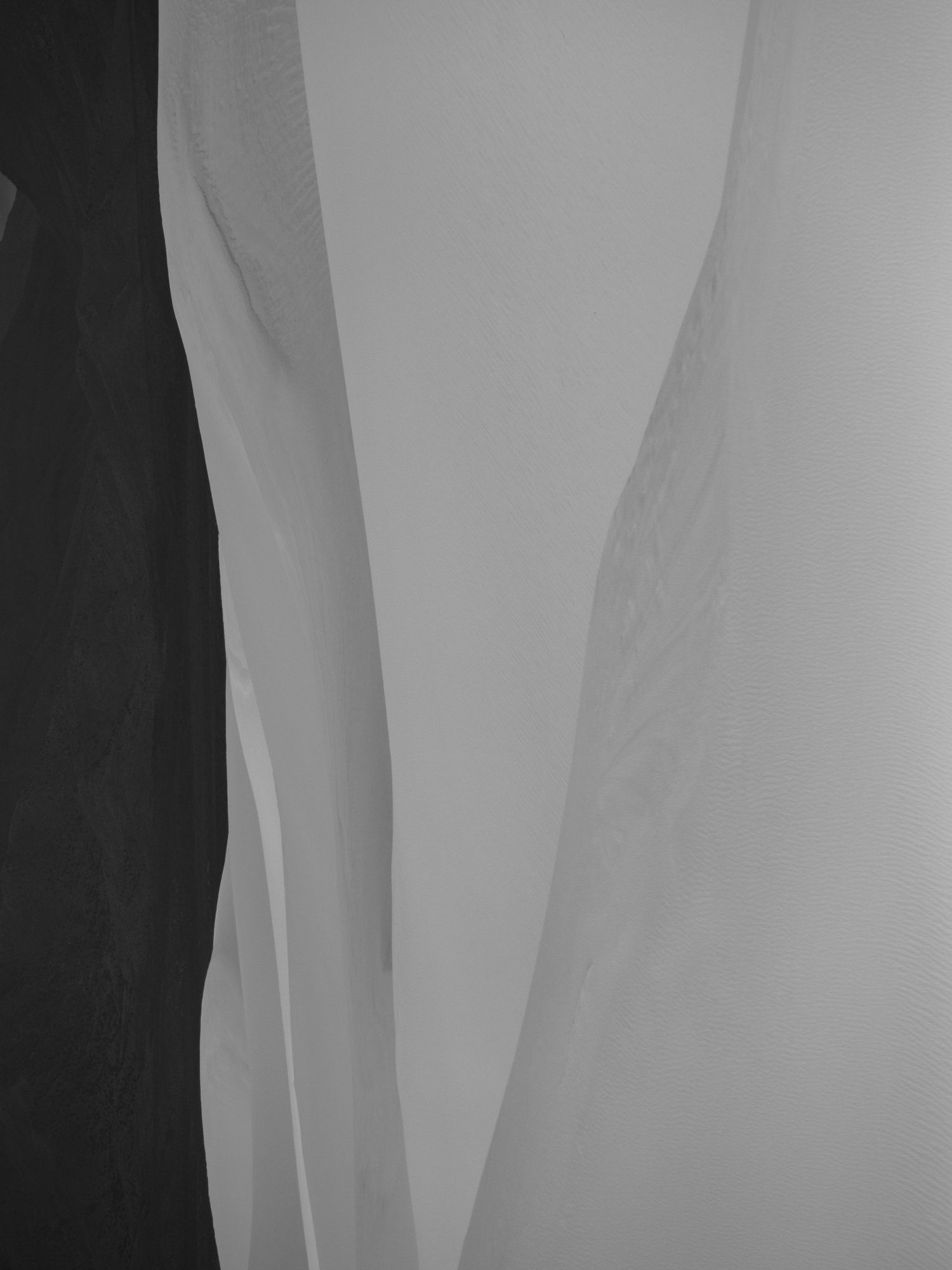 Abstract black and white photograph showing smooth curved lines and gradients.