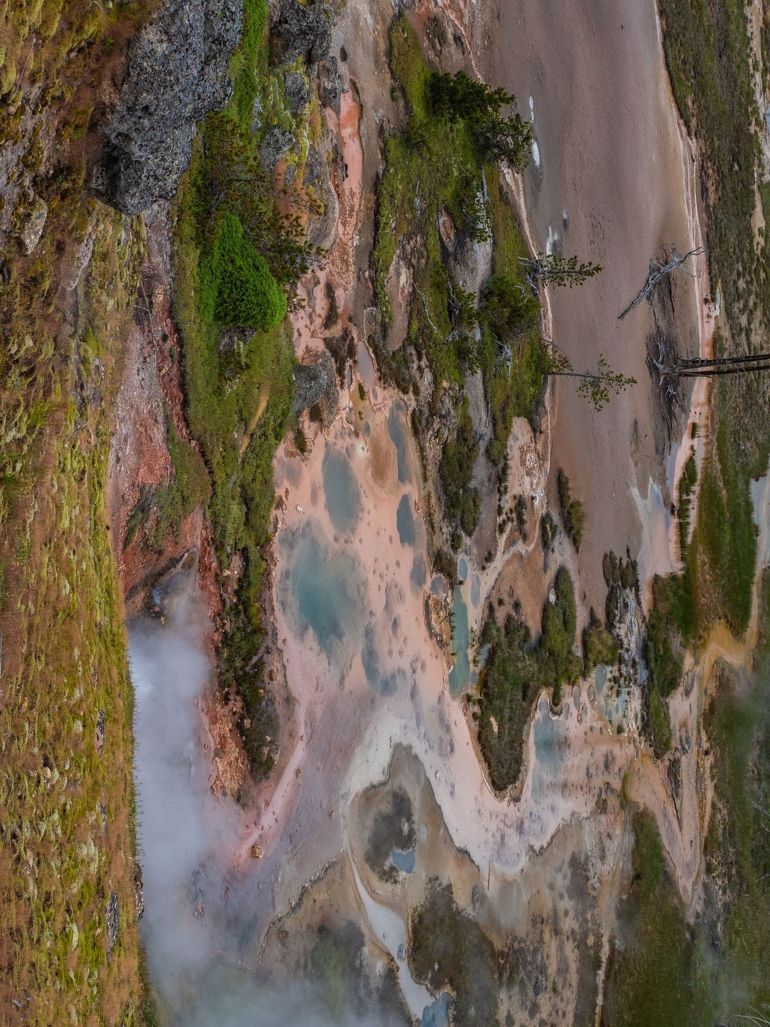 Mossy cliff face with pink and blue mineral deposits creating natural patterns.
