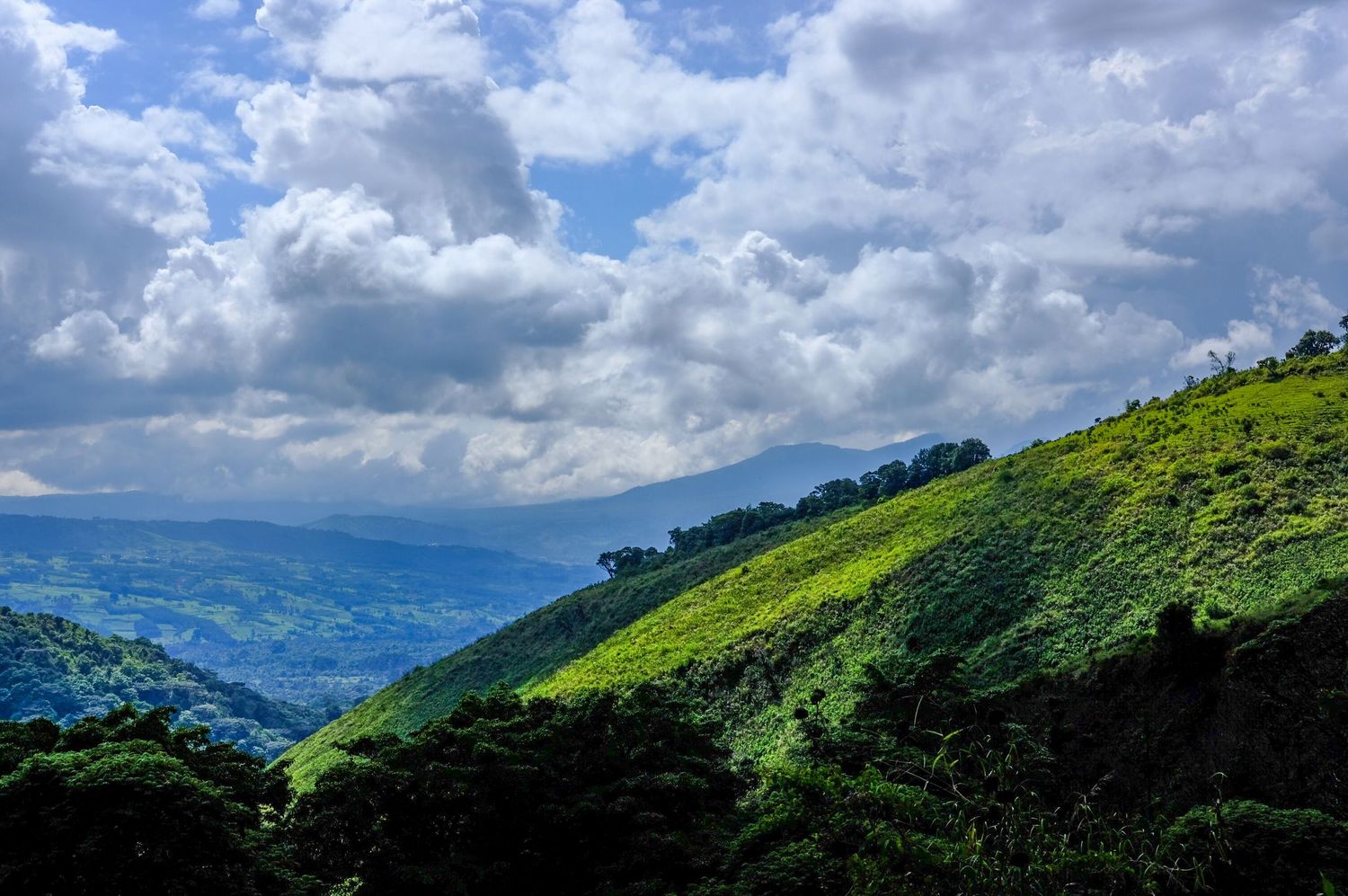 Rolling green hills stretch into the distance under dramatic white clouds.