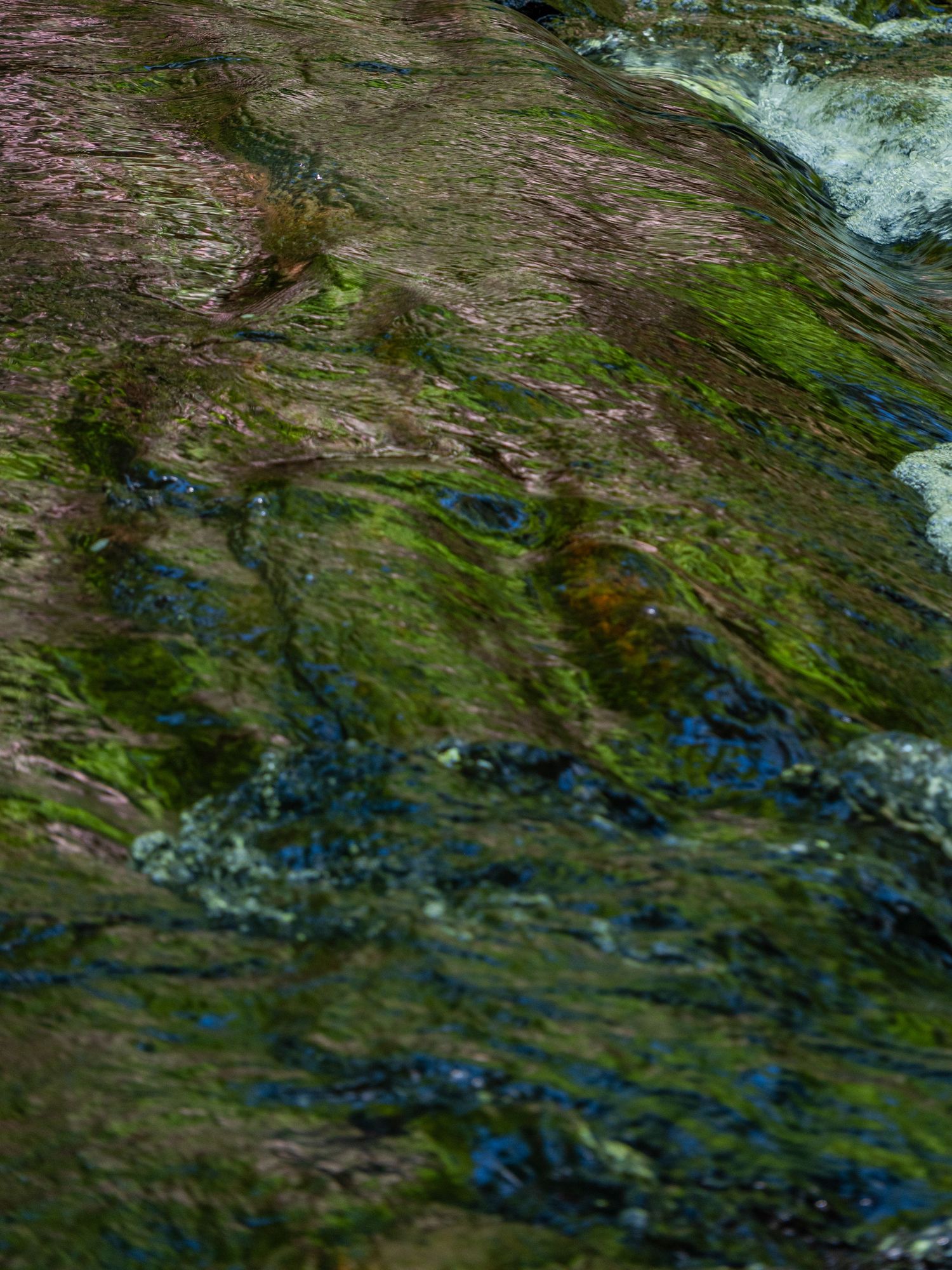 Mossy rocks with flowing water creating natural patterns and reflections.