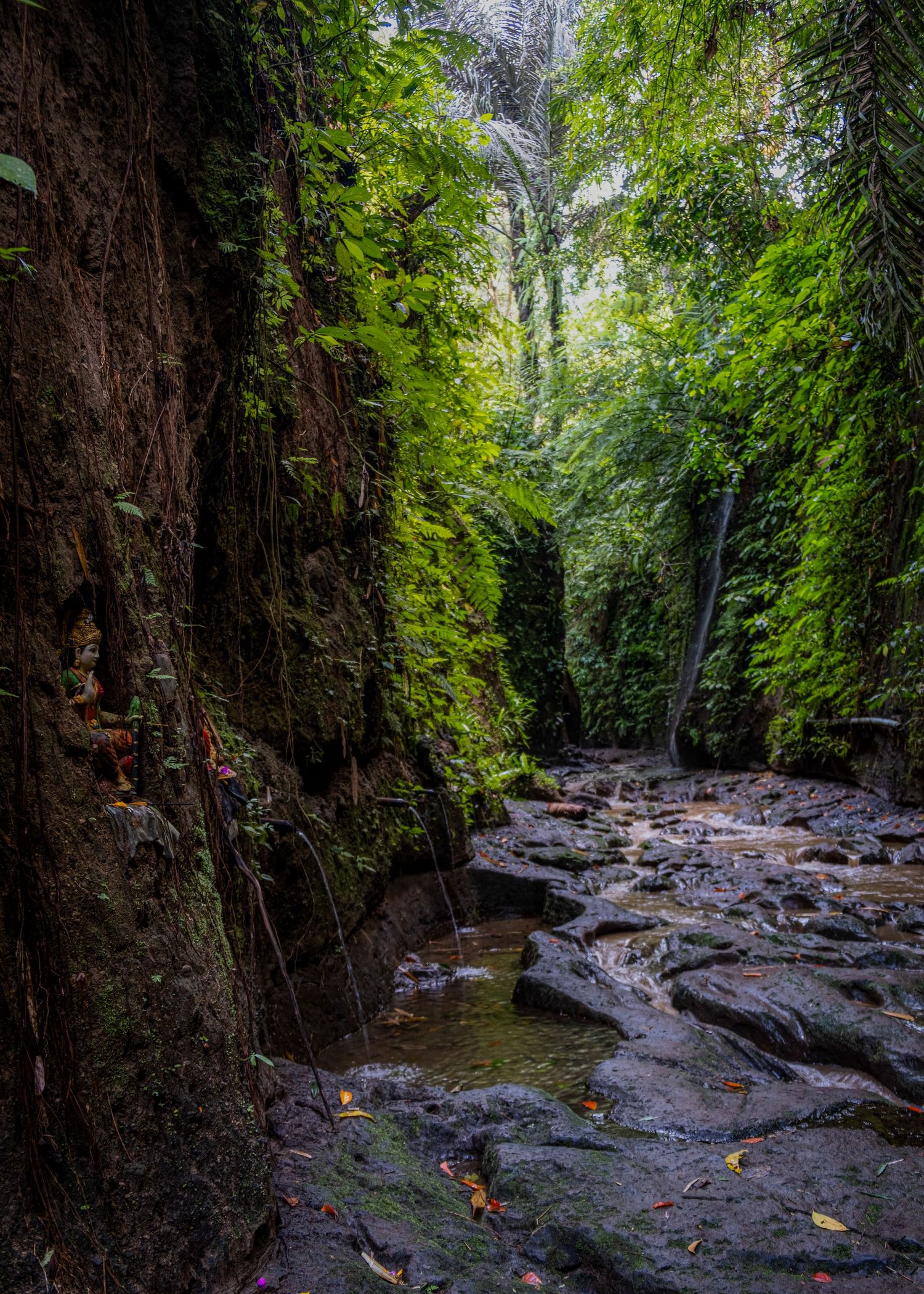 Rocky stream bed winding through lush forest with tall cliff walls.