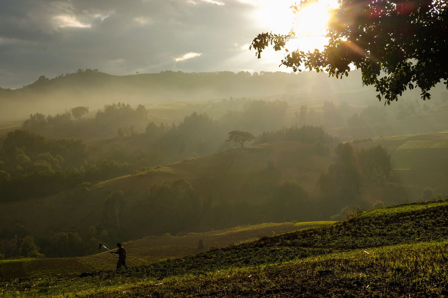 Golden sunlight breaks through clouds over misty green hillsides at sunset.