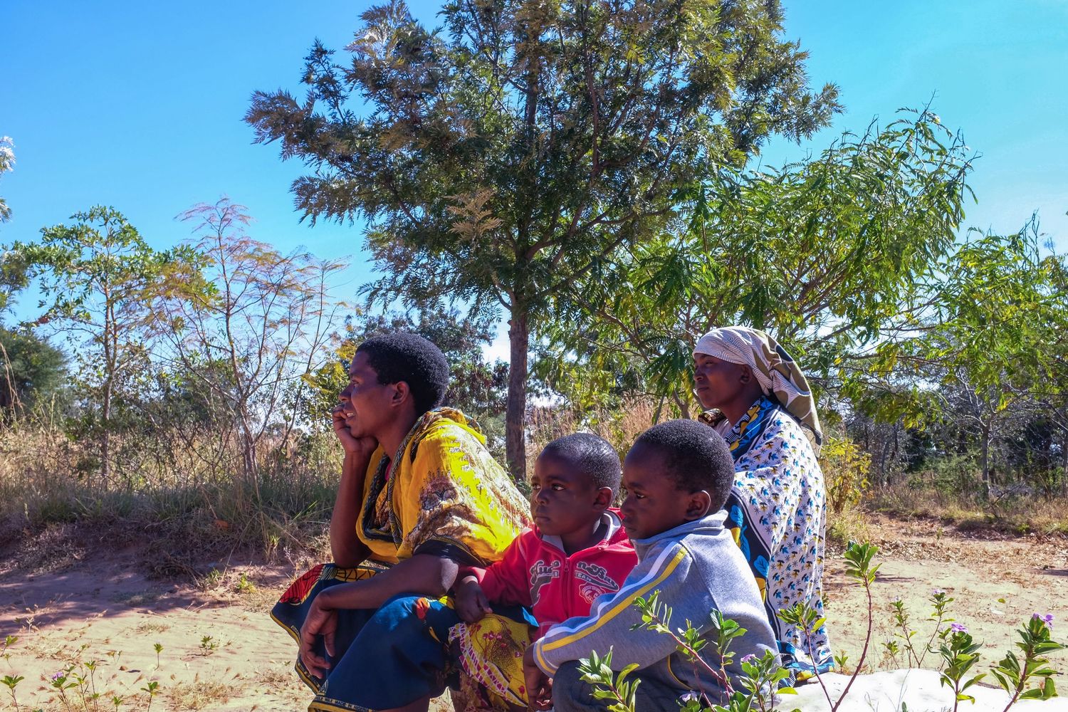 People gather outdoors under trees for a community meeting in a rural setting.