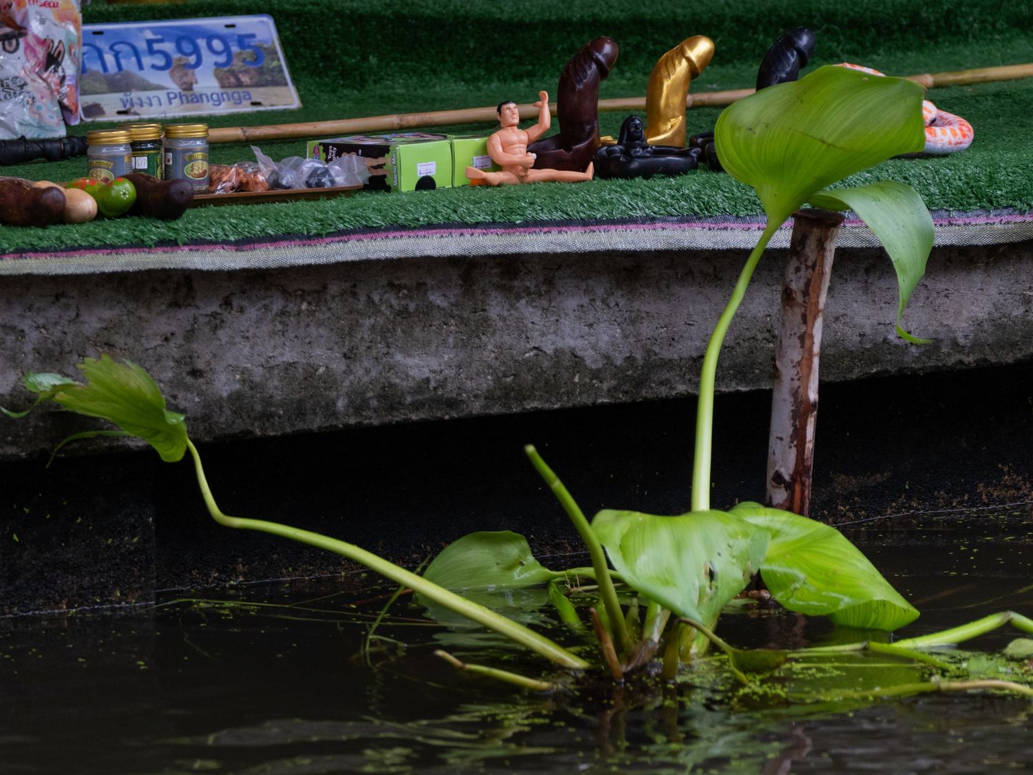 Green lily pads float serenely on dark water against a stone wall backdrop in a tranquil garden setting.