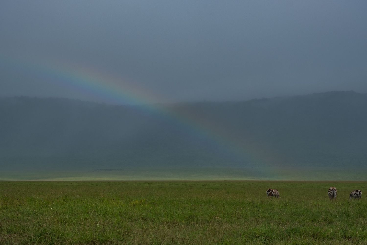 Rainbow arches over vast grasslands with distant mountains under stormy skies.