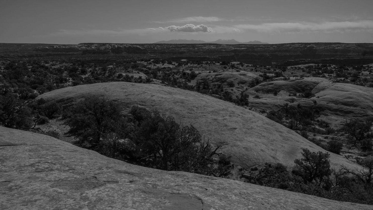 Black and white panoramic landscape of rolling desert hills and canyons.