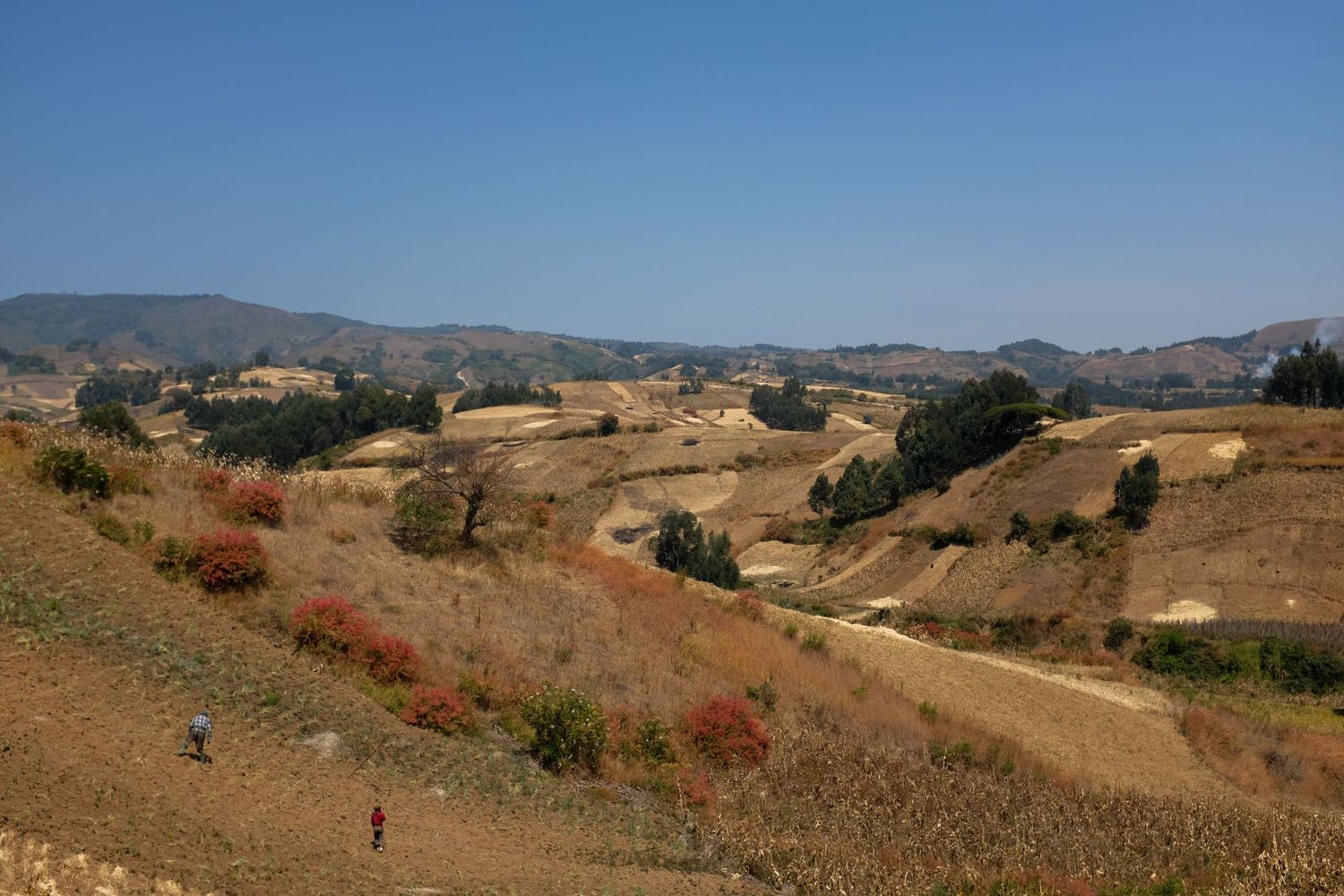 Panoramic view of rolling hills and mountains in a dry rural landscape.